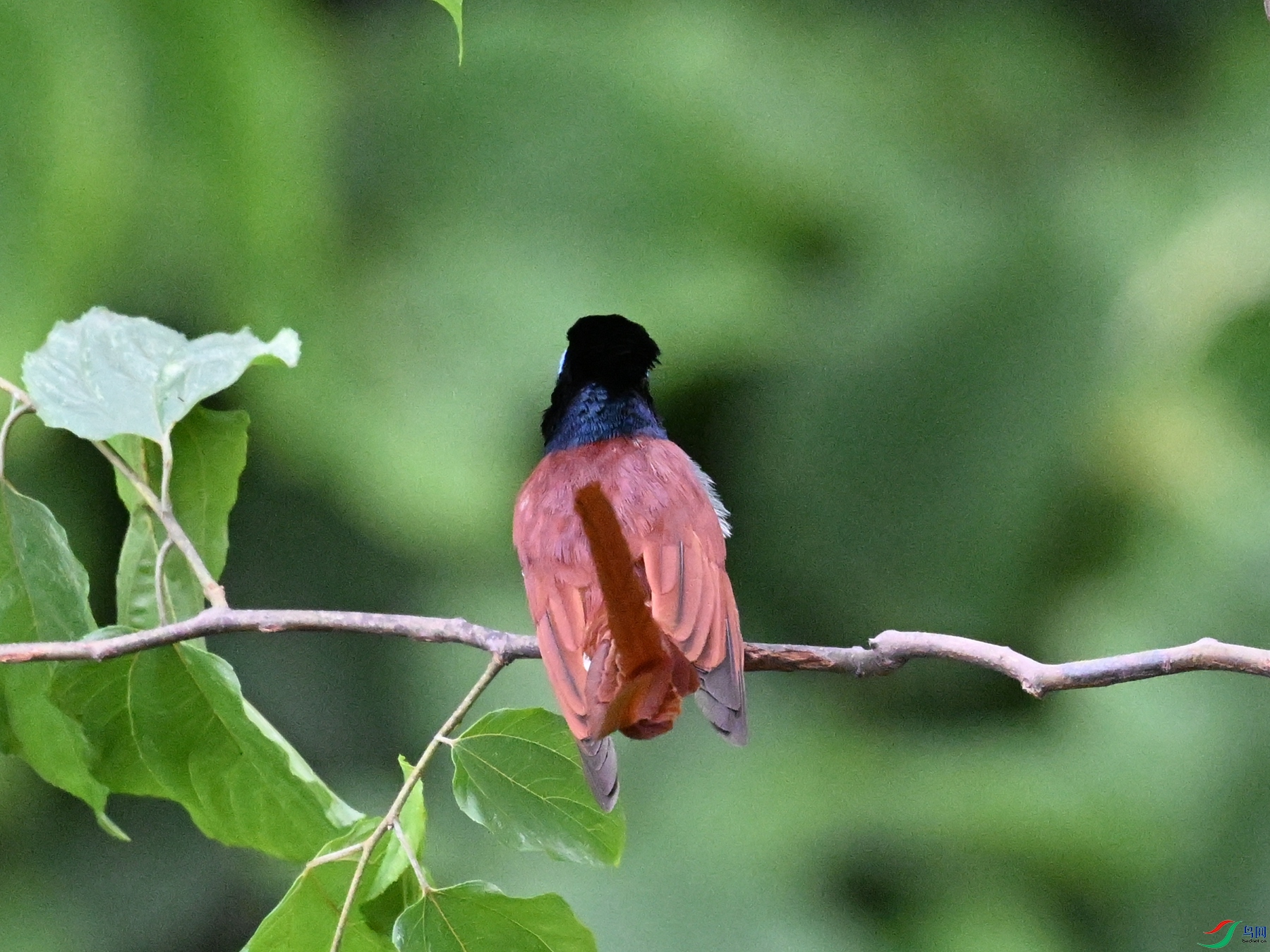 DSC_6948.JPG