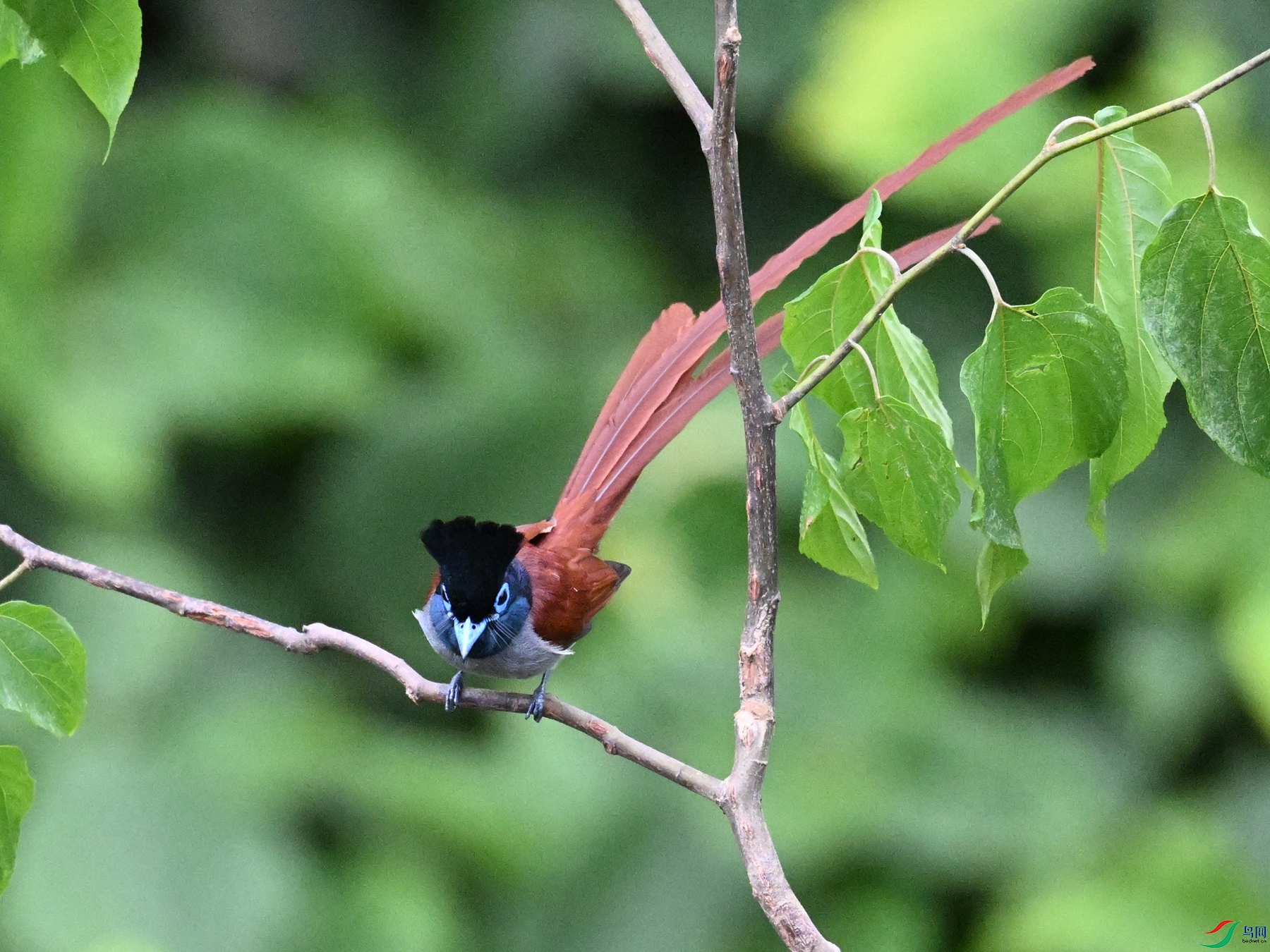 DSC_6956.JPG