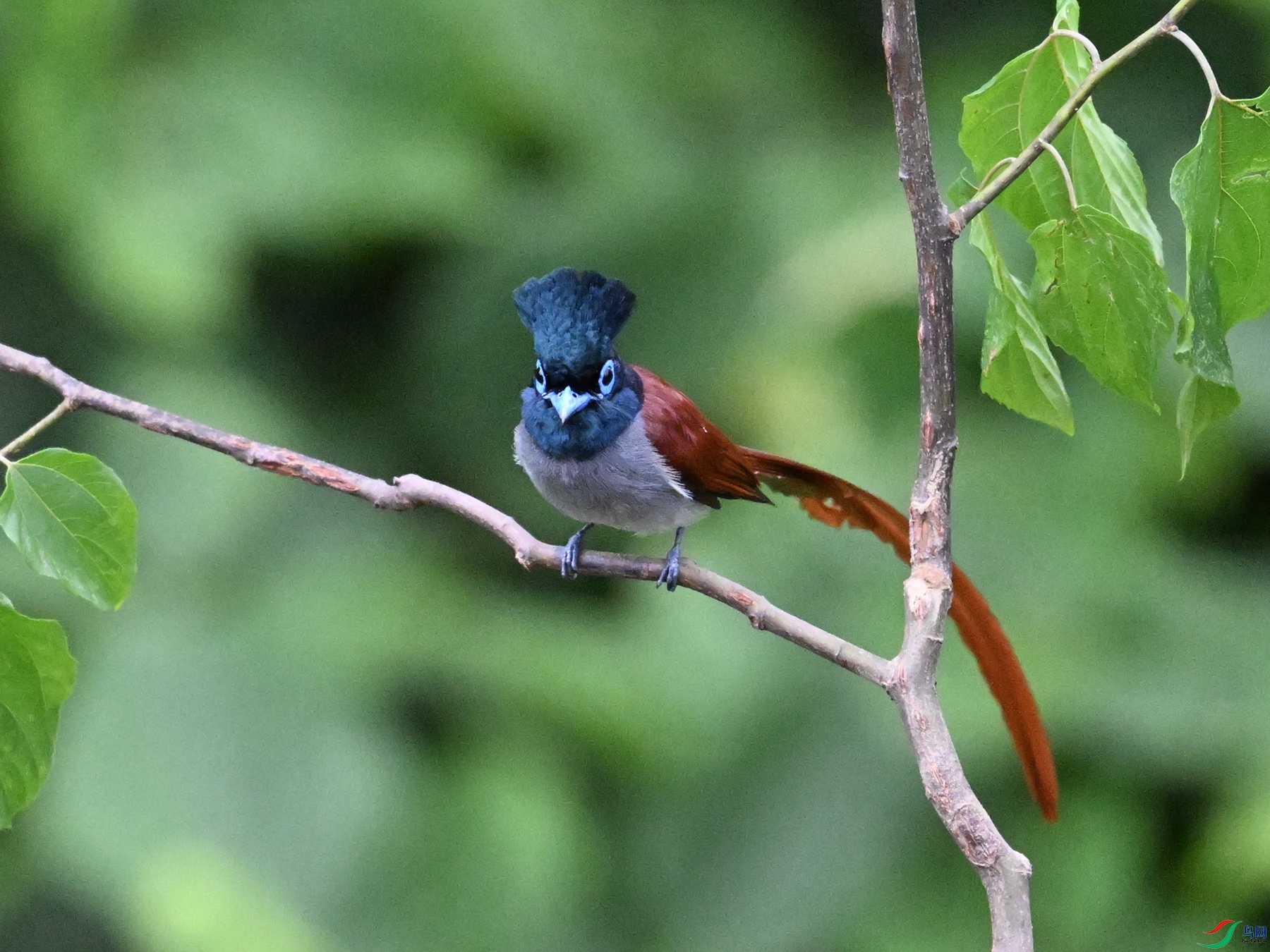 DSC_6959.JPG
