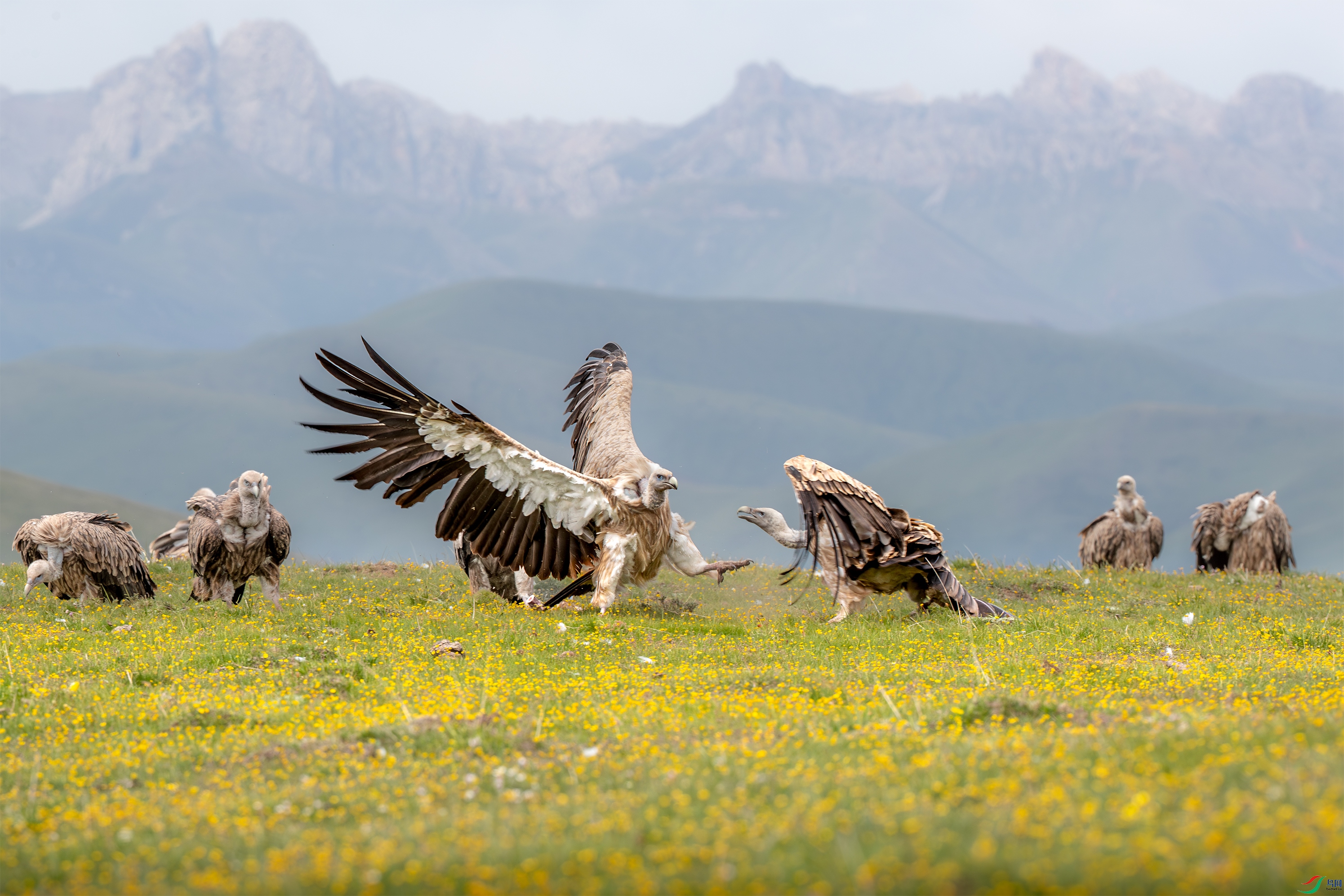 AY8I1393 ����.jpg