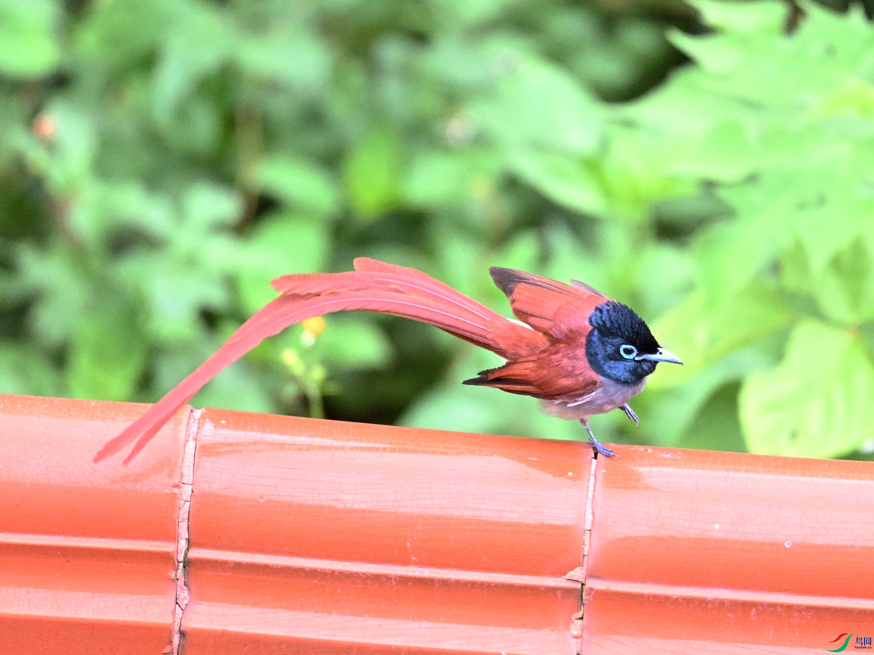 DSC_7075.JPG