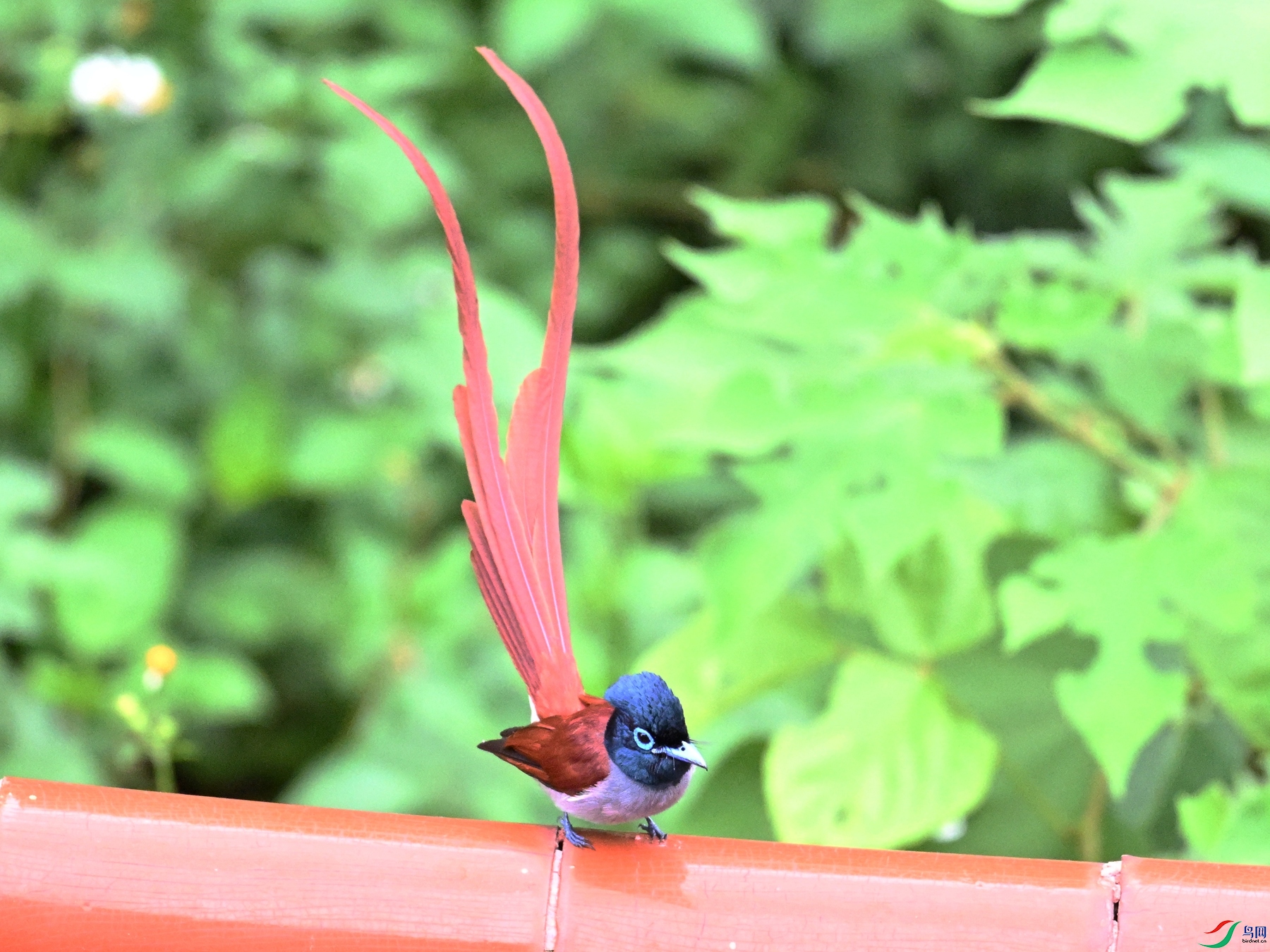 DSC_7082.JPG