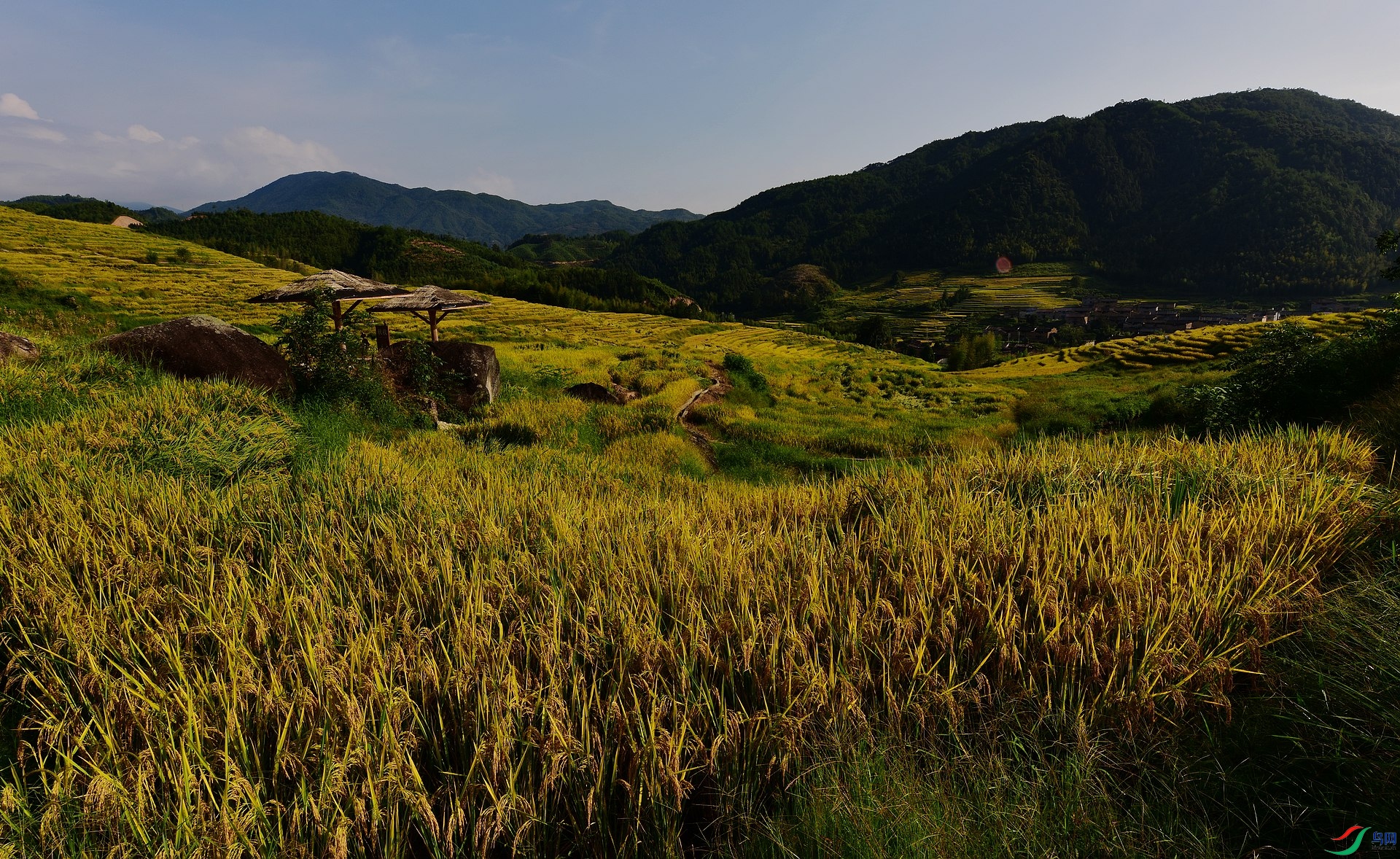 D8I_2749.jpg