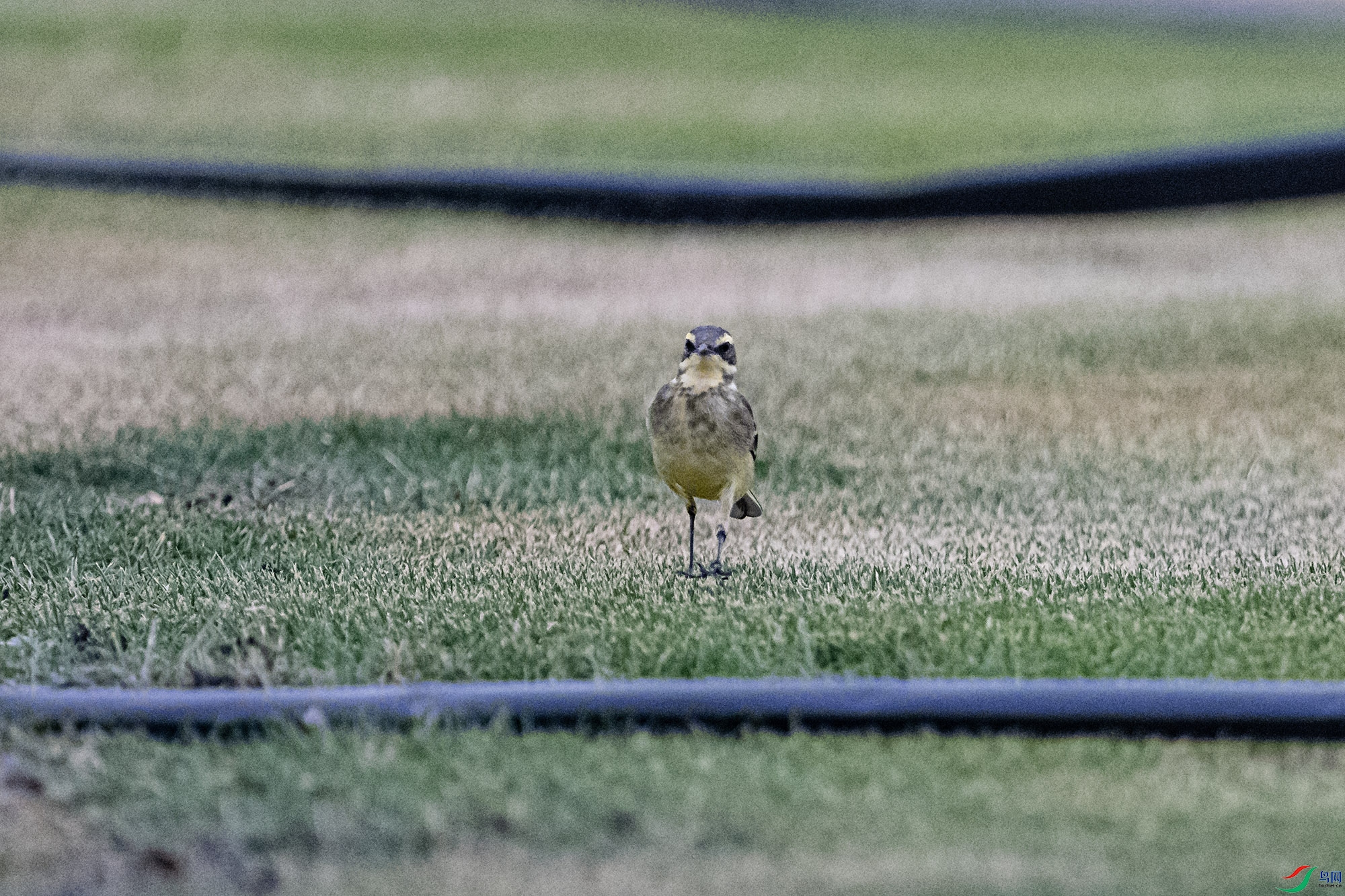 DSC_3058.jpg