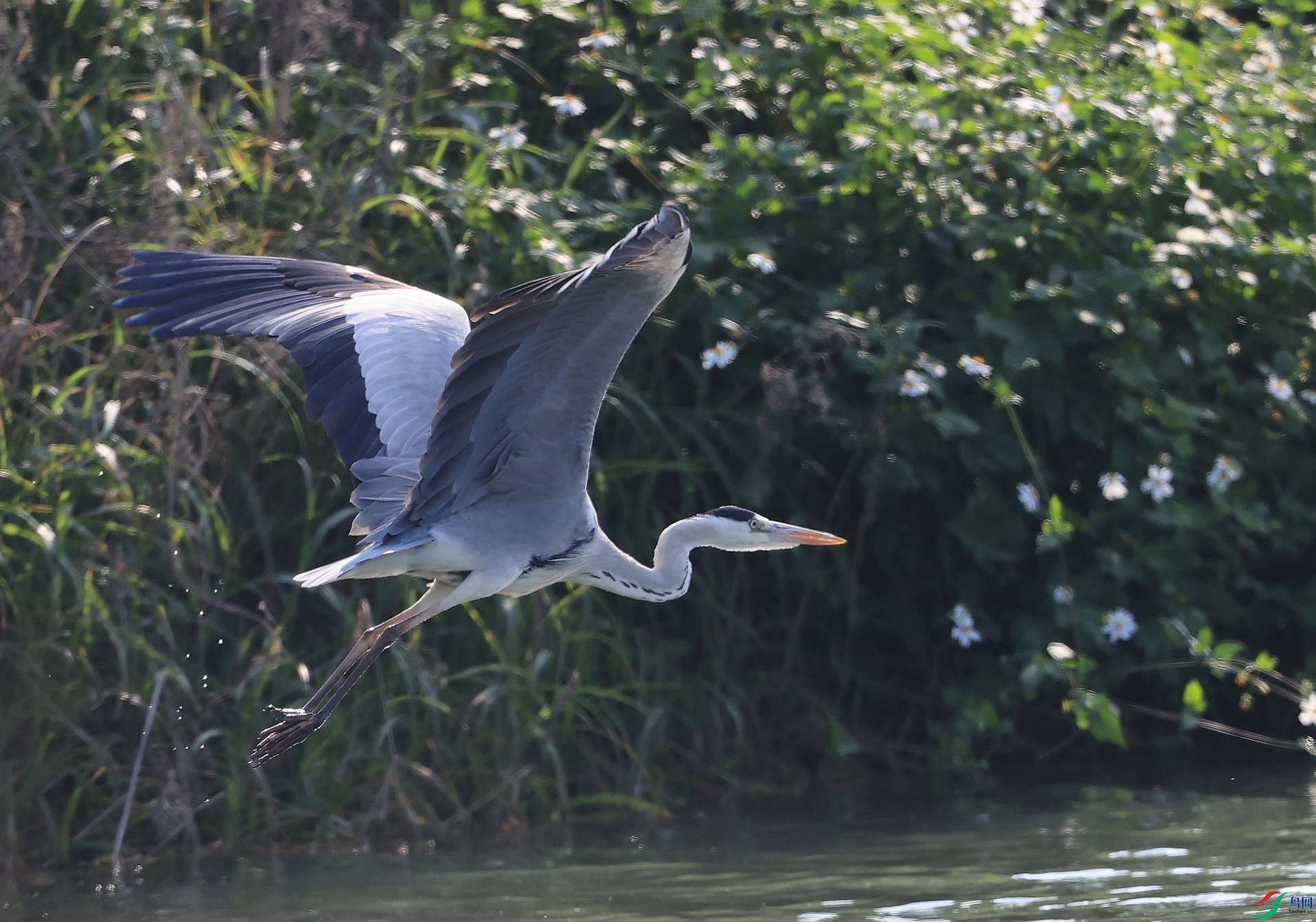 AK1I4321�� ��.JPG