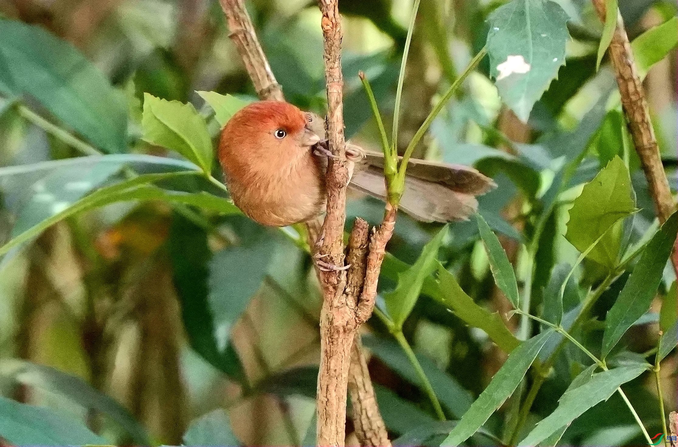���й���DSC01289_����.jpg