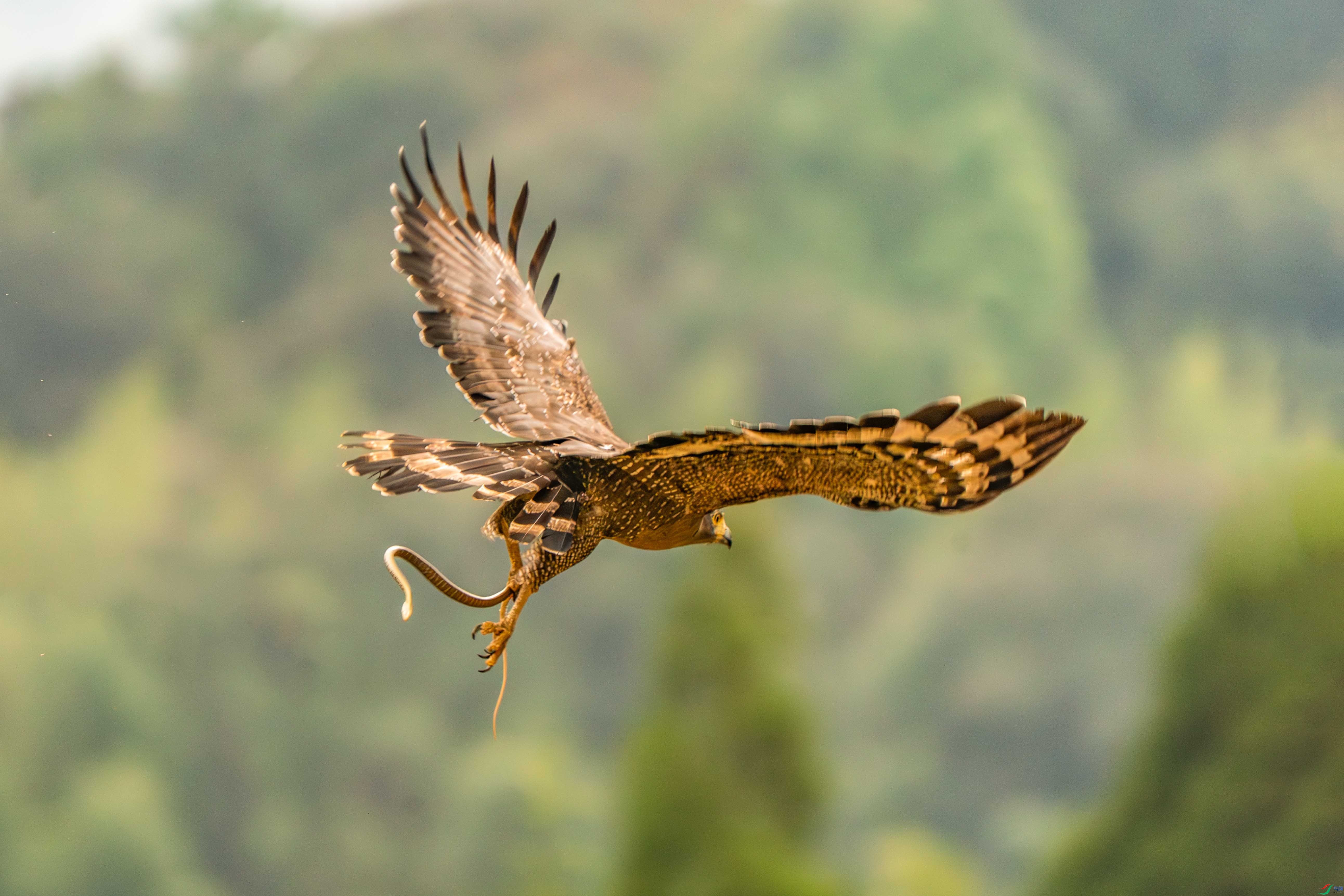 _ZZX6066 ����.jpg