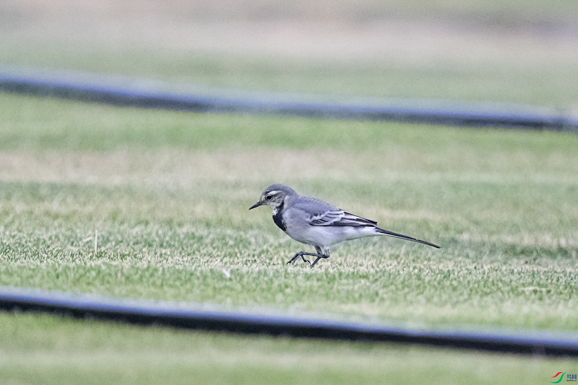 DSC_3059.jpg