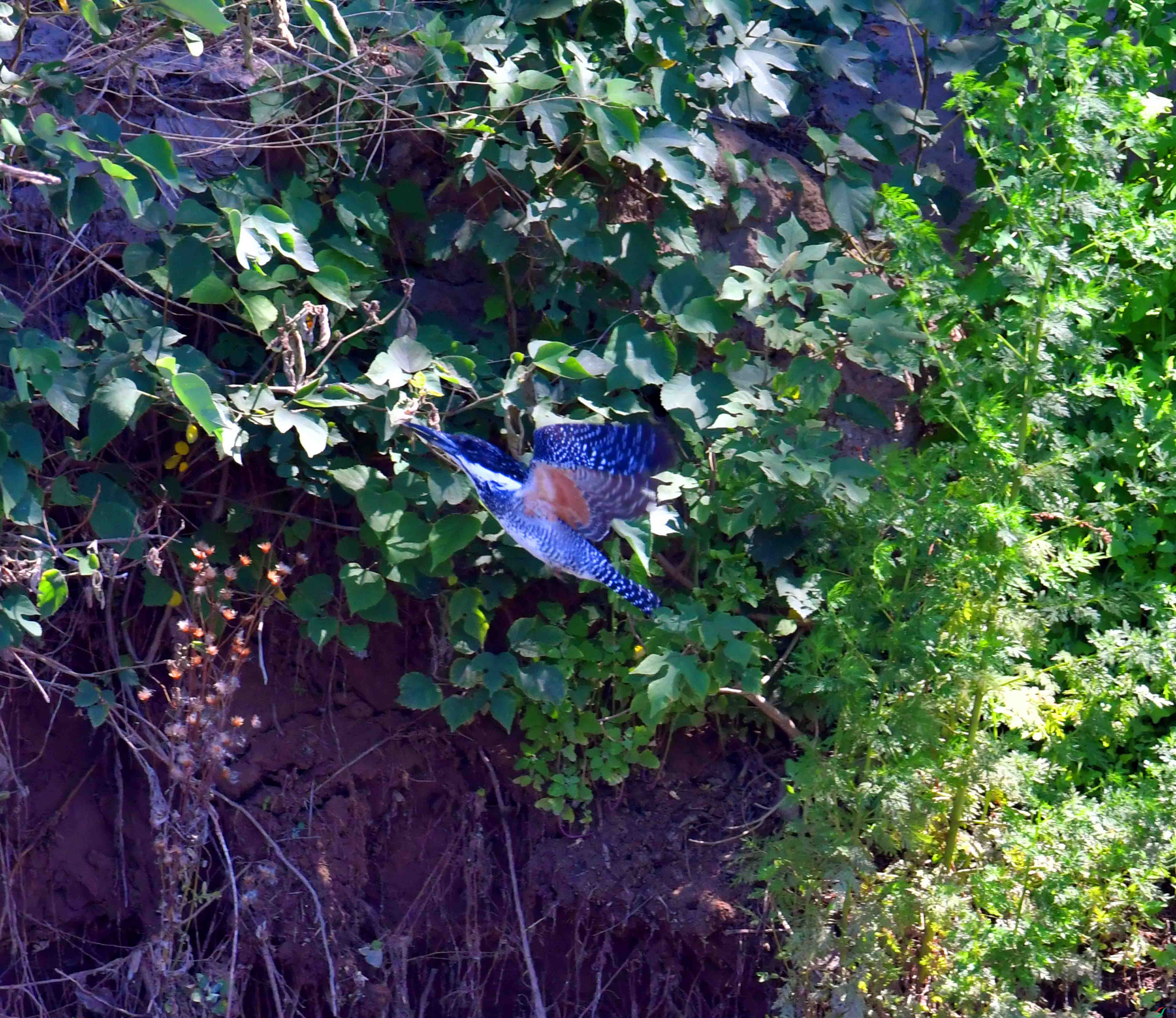 DSC_0840.JPG