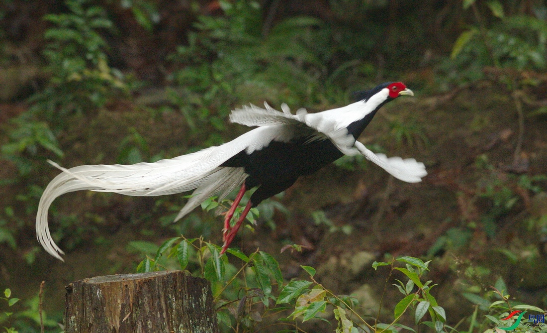 _DSC2539z_������С.jpg