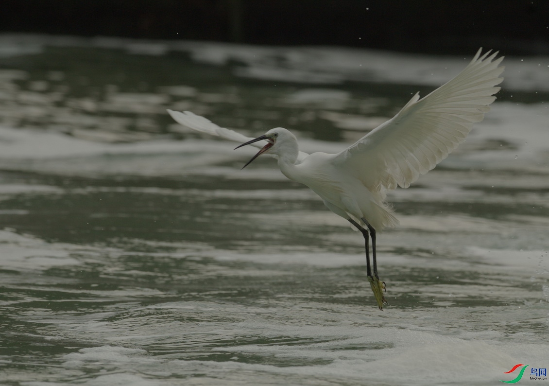 _DSC111 (1).jpgz_������С.jpg