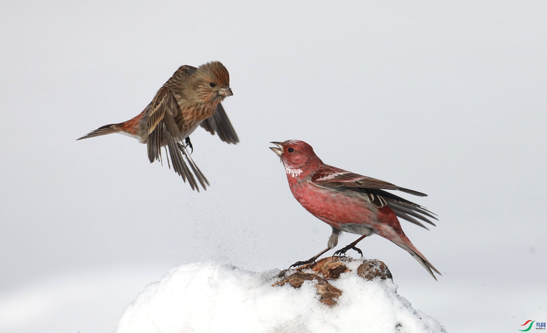 9G8A1787 ����.jpg