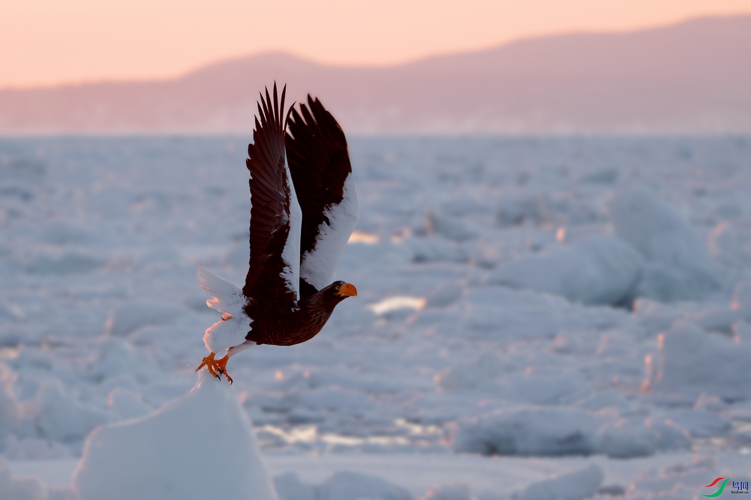 AQ9I2043-����ǿ-NR ����.jpg