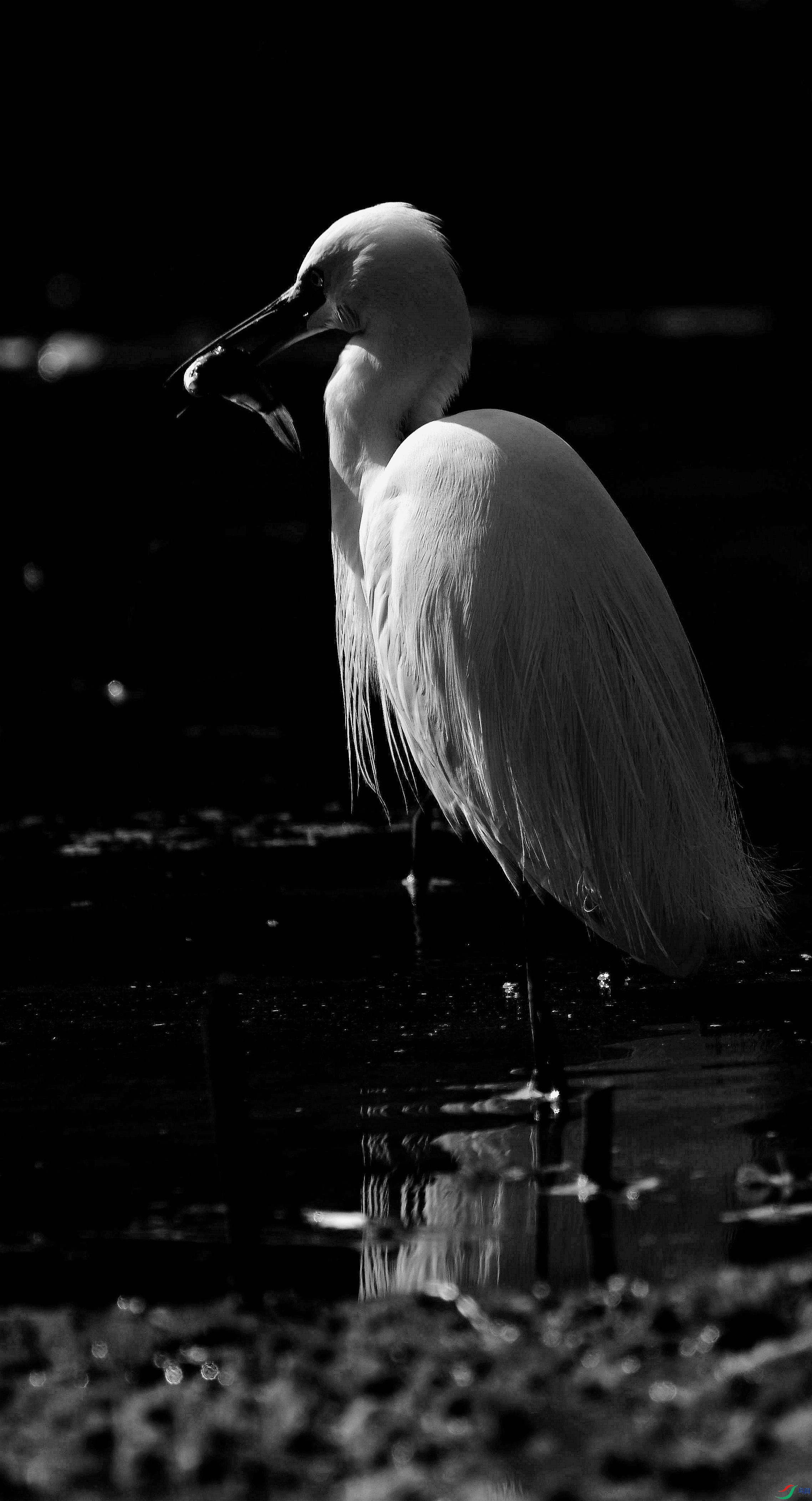 DSC_3272.jpg