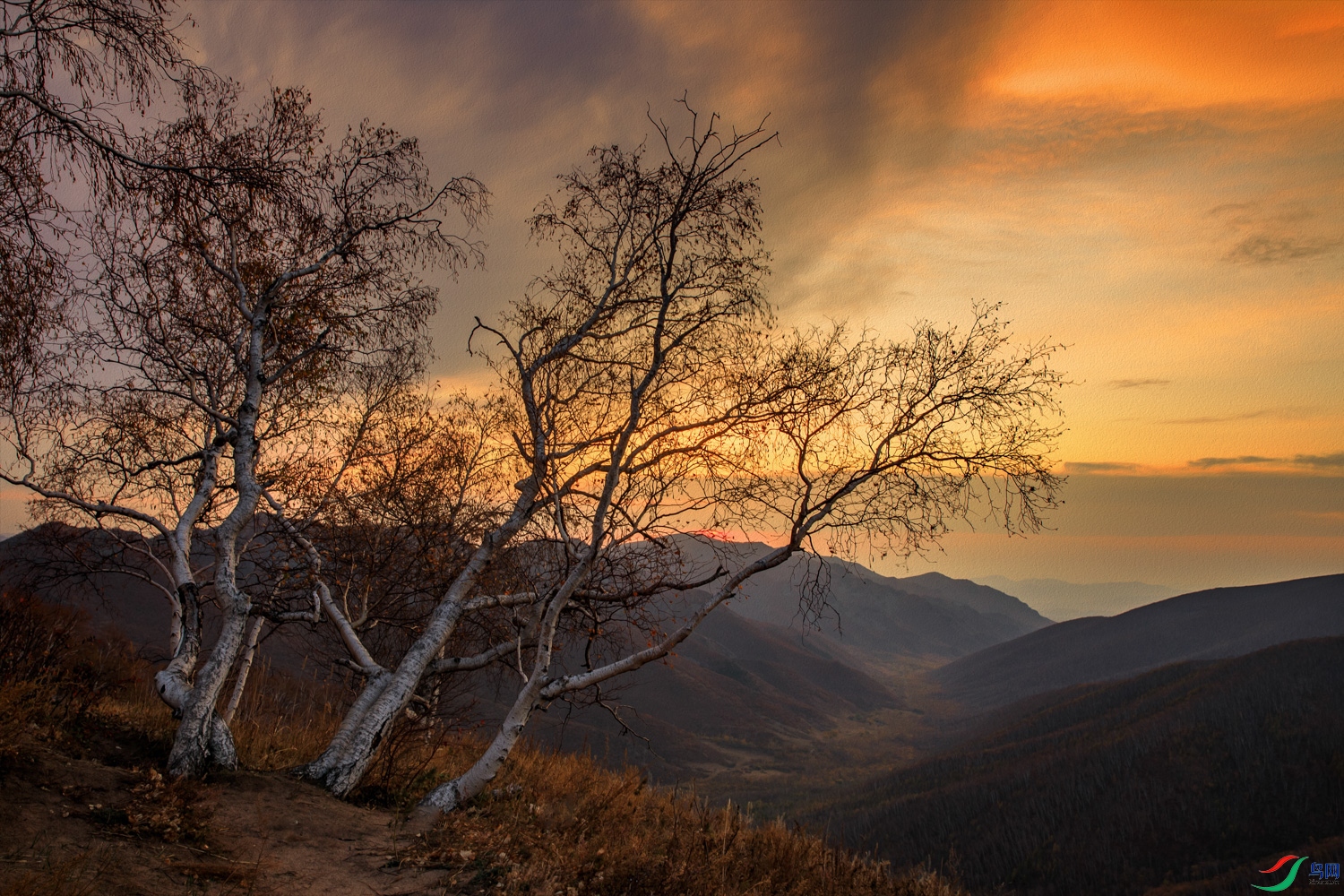 106A0816 ����.jpg