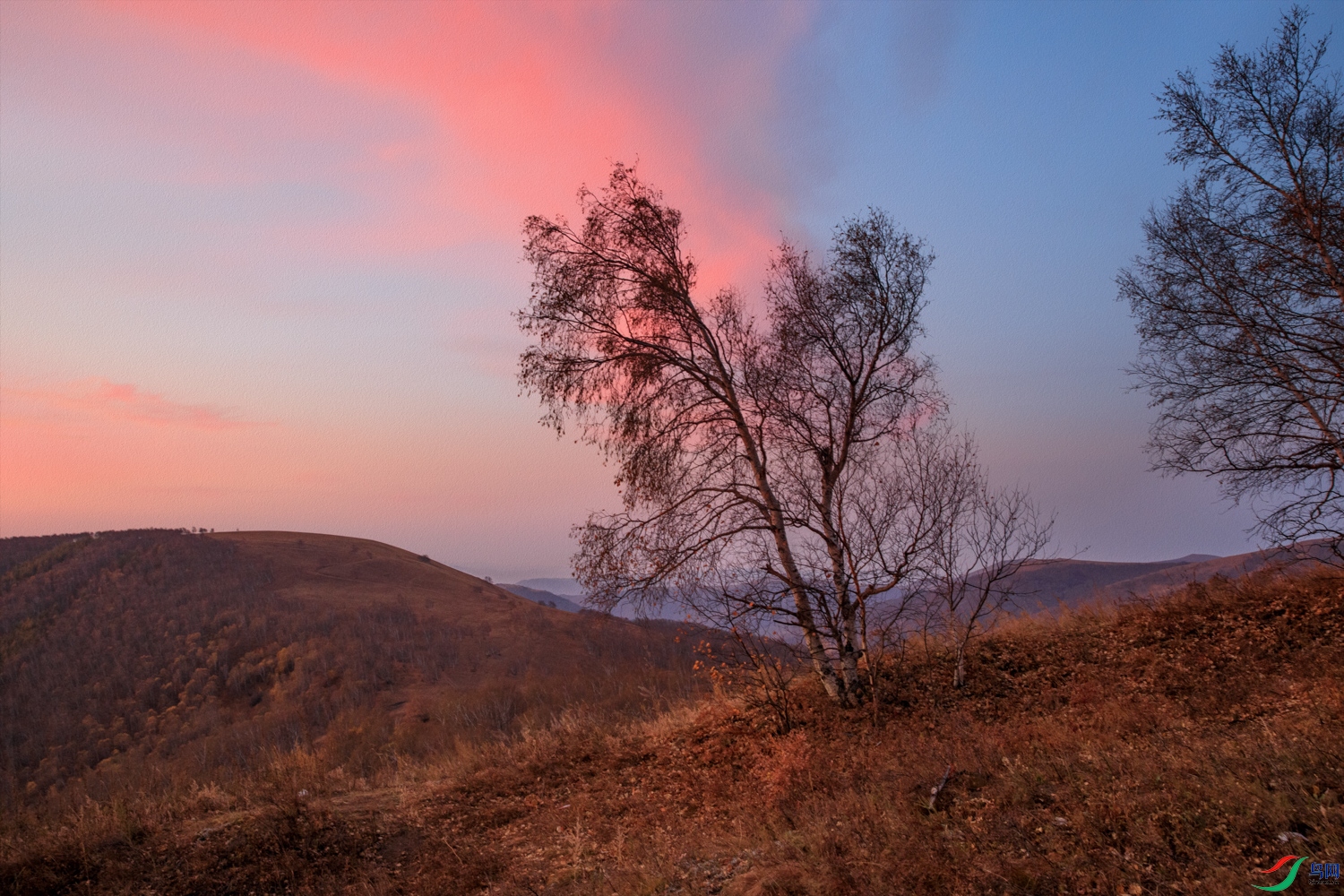 106A0809 ����.jpg