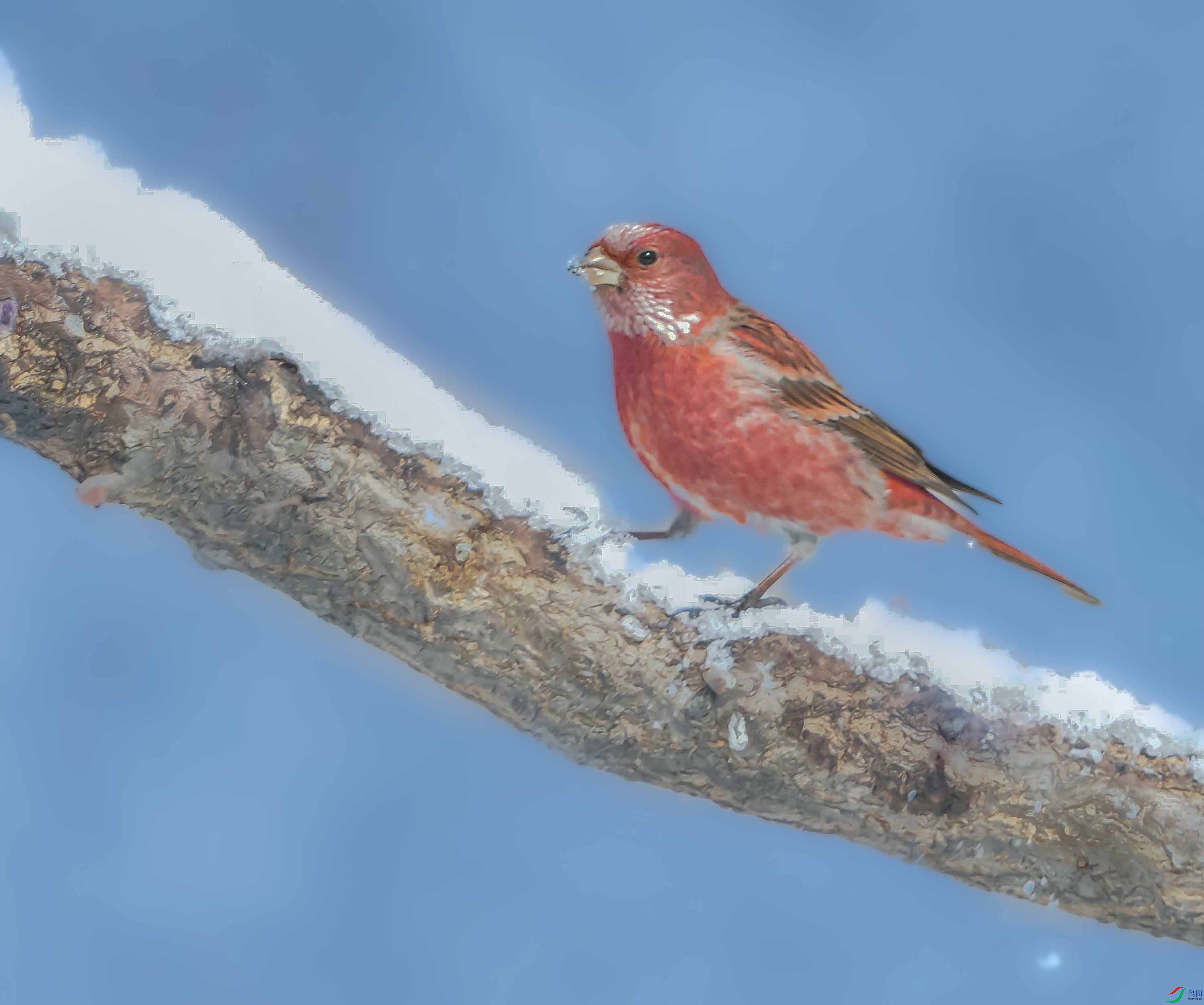 DSC_9511--����ȸ_��ţ��ͼ ����.jpg