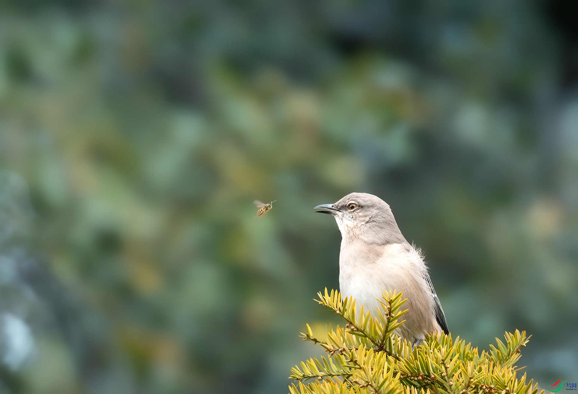 _DSC4622 ���� 2.jpg