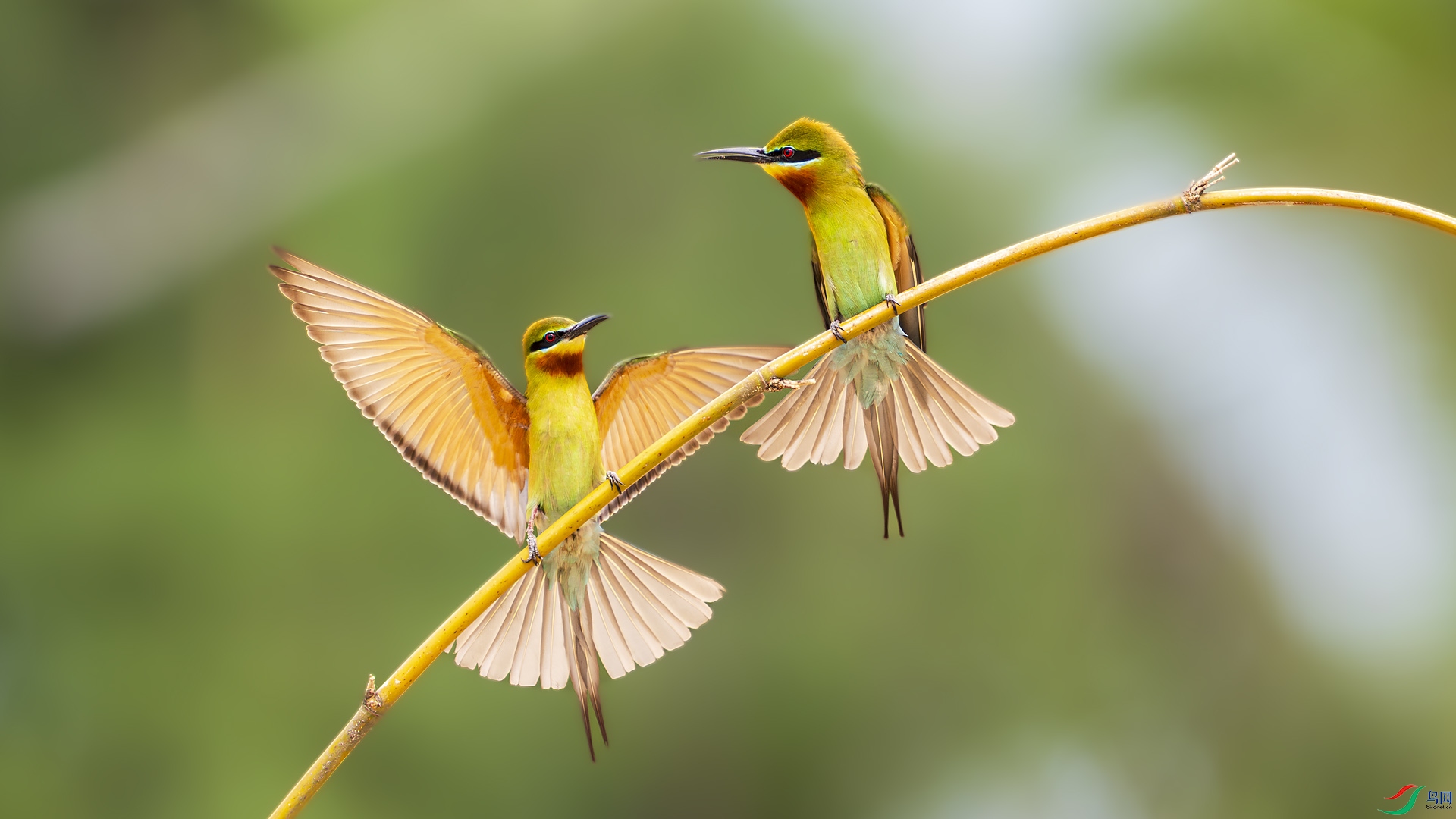 _DSC2613 ����.jpg