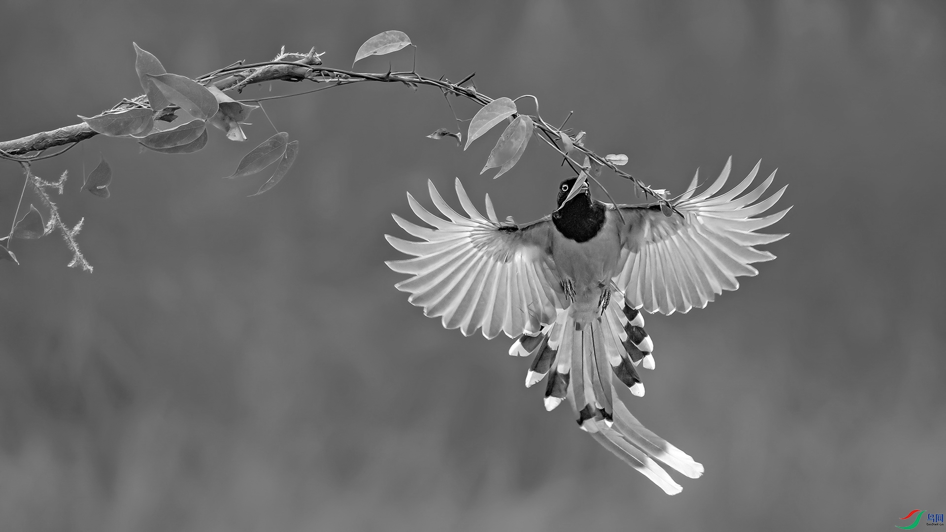 0U3A85241.jpg