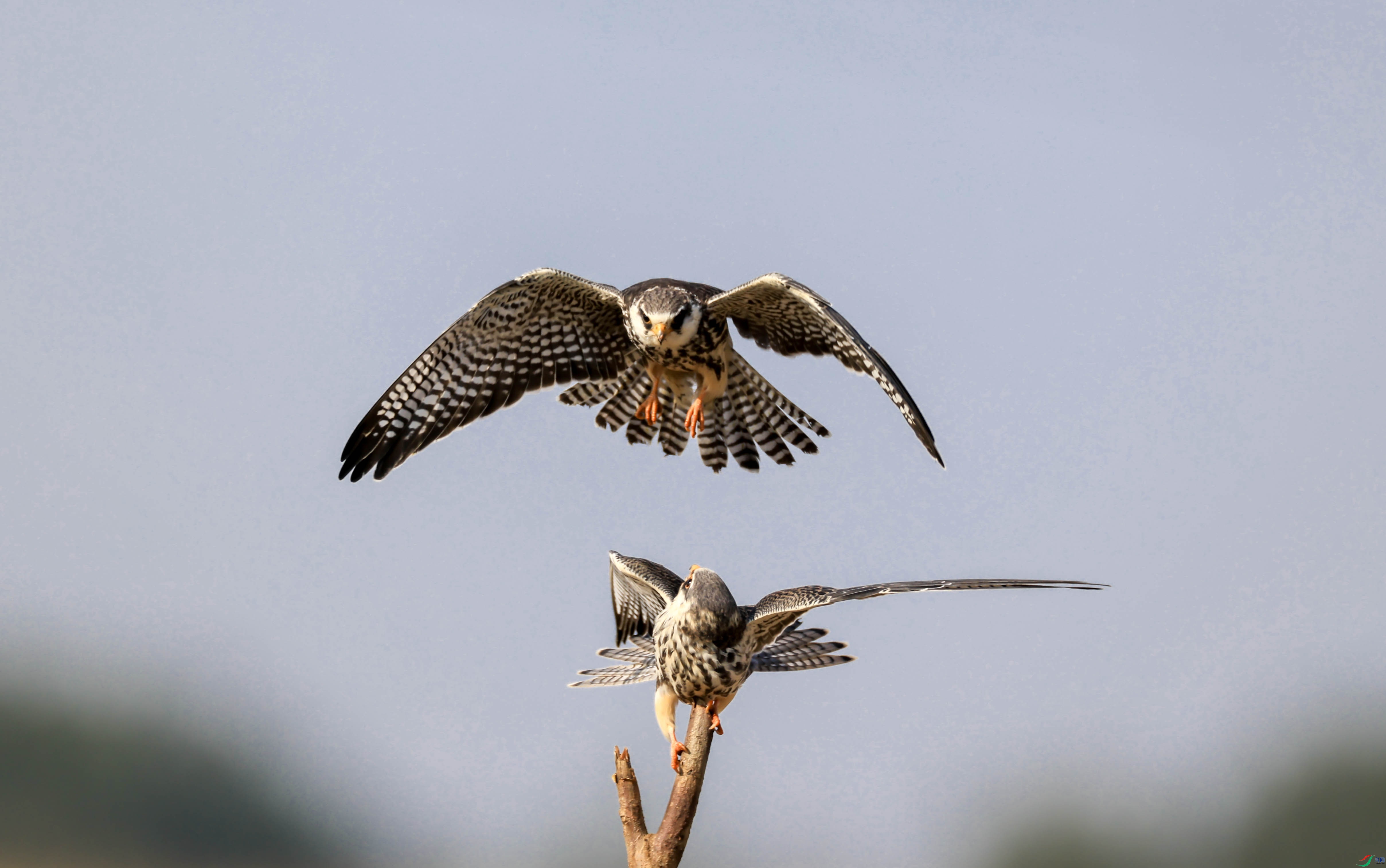 1-xt4L2A9085 ����.jpg