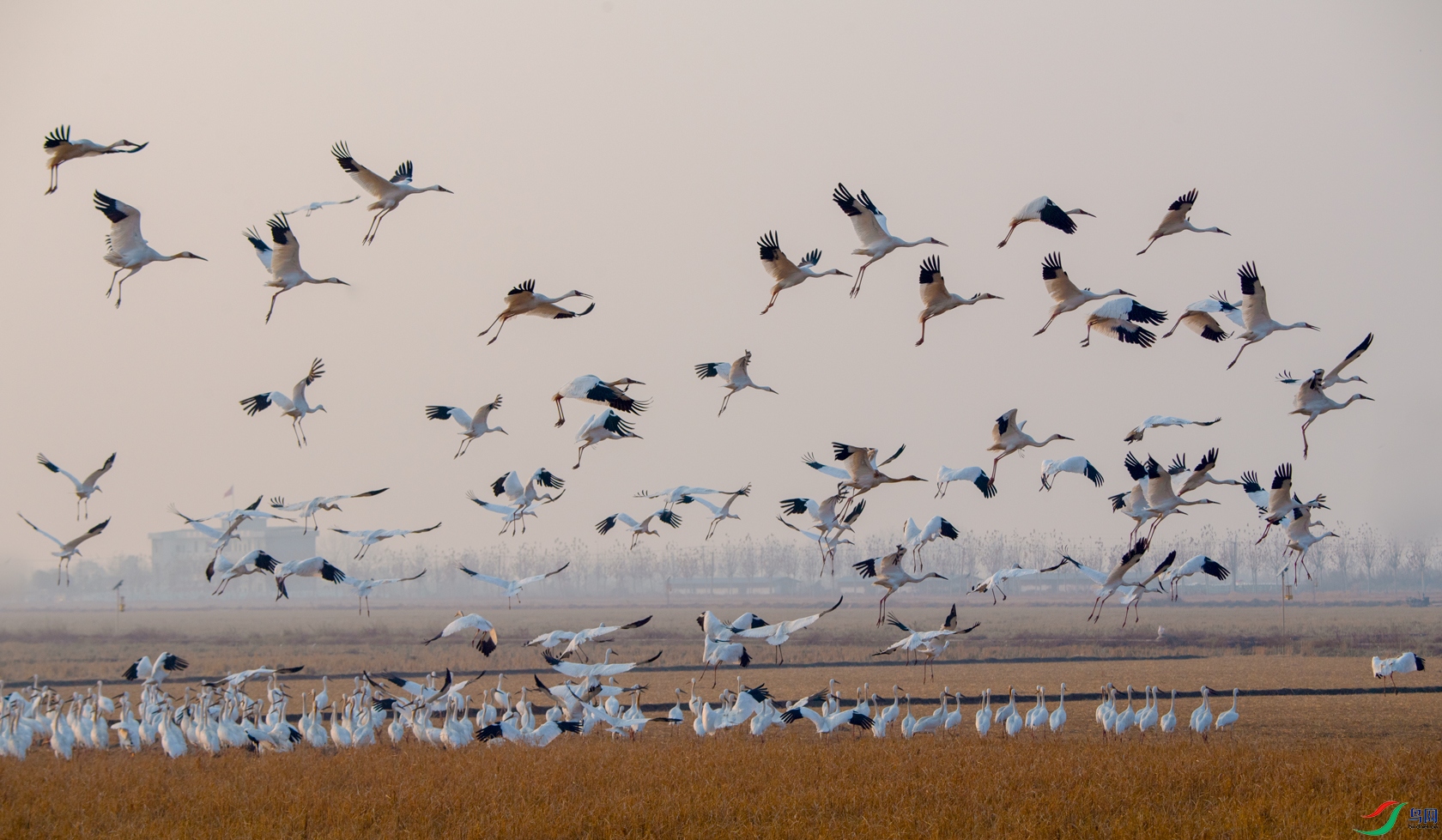 DSC_�׺�1 - ���� 1.jpg