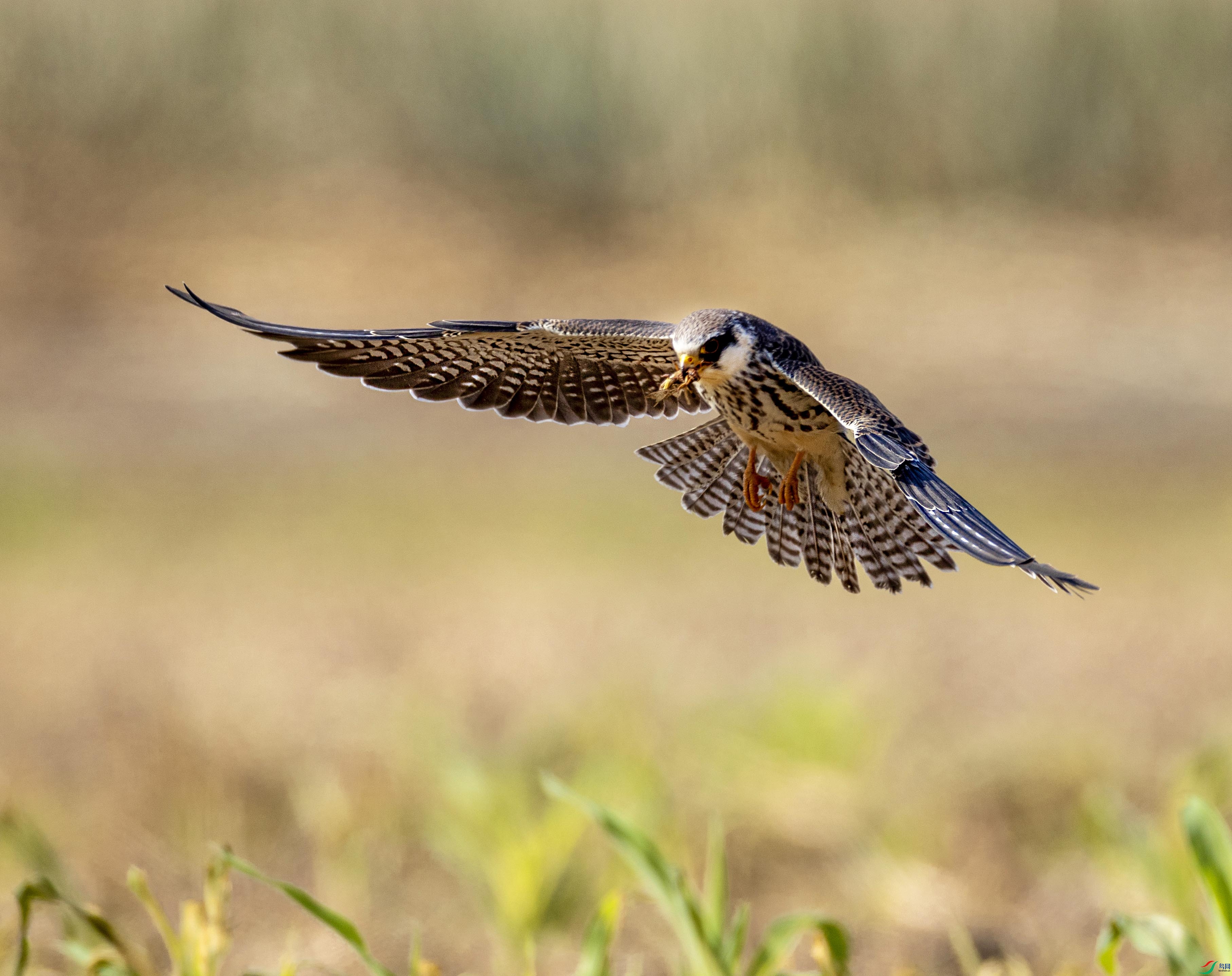 1-4L2A9495 ���� 2-xt.jpg