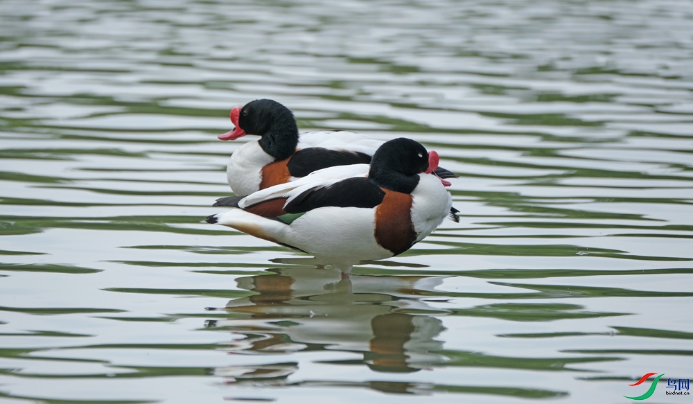 DSCF1770.1.jpg
