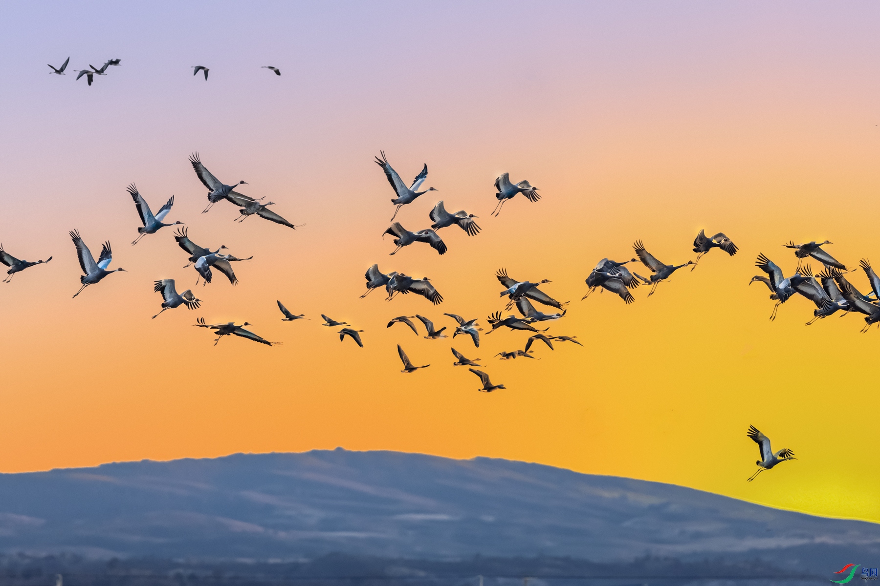 ������----�����ؤ���Ϸ�