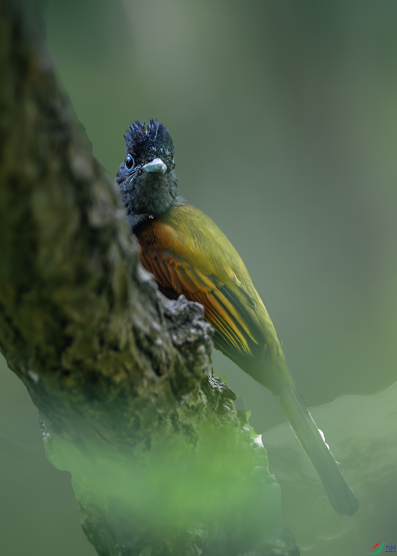 DSC_2836-����ǿ-NR ����.jpg