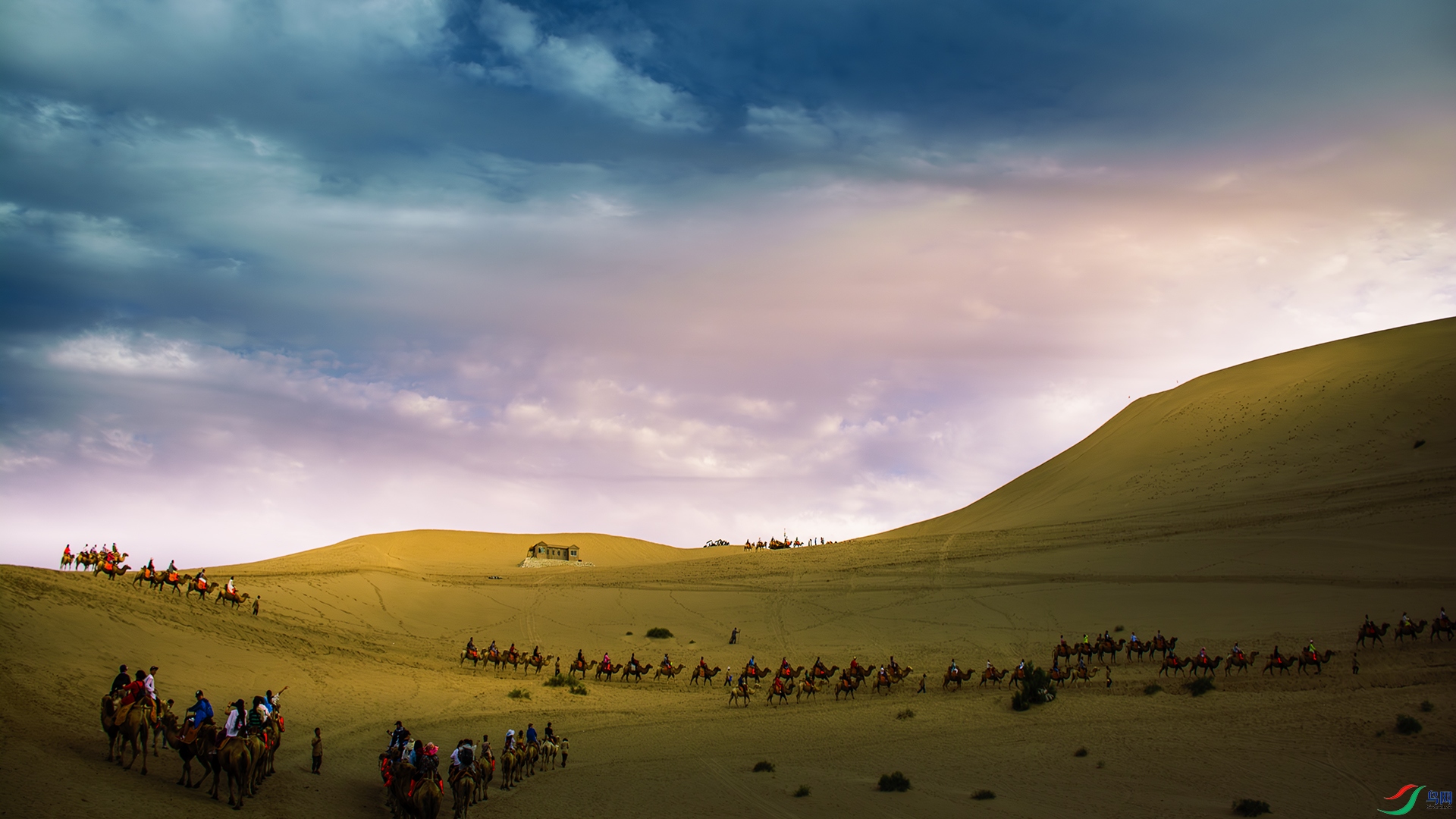 DSC_4767-����ǿ-NR ����.jpg