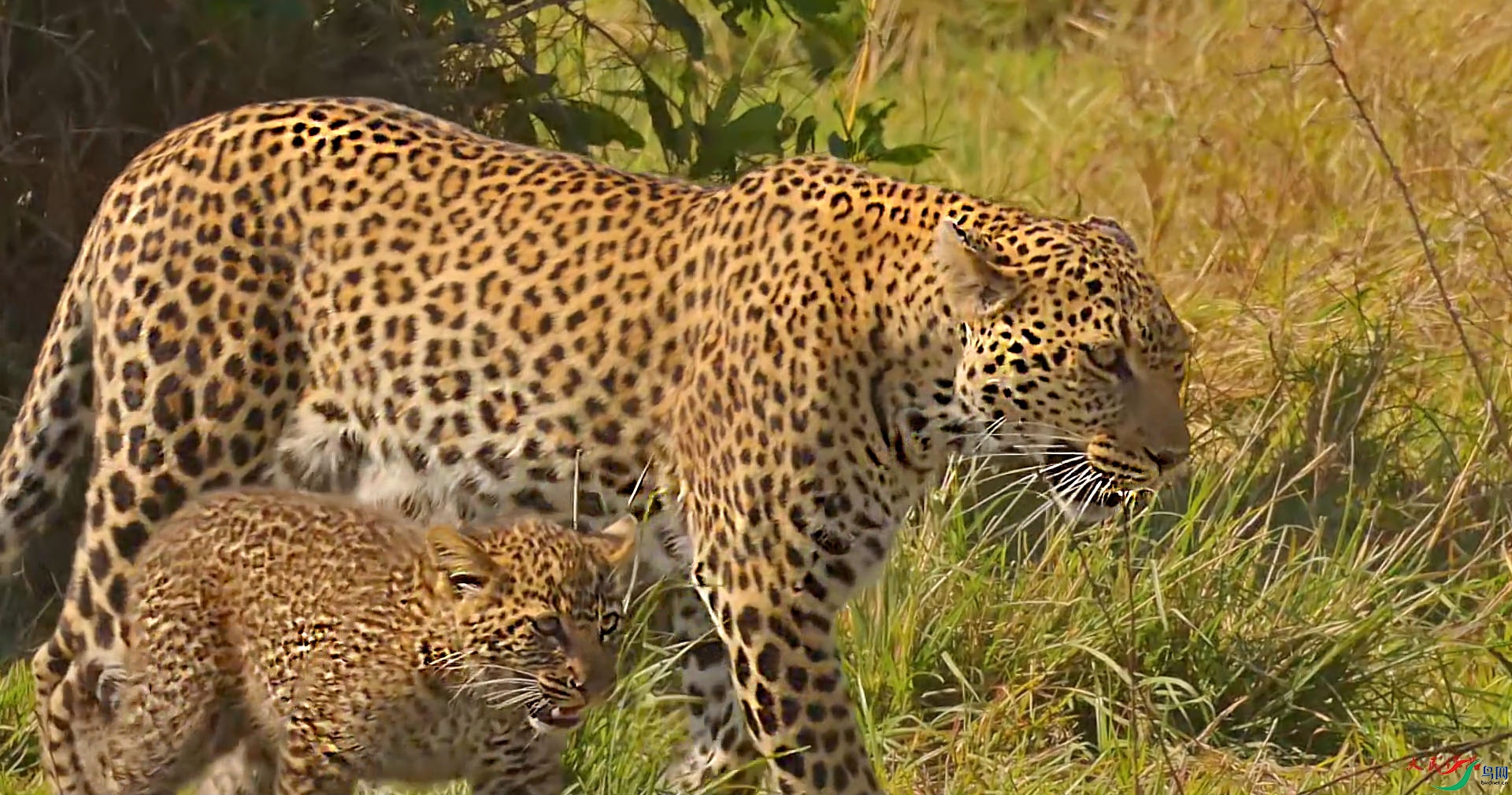 {F6964F1E-2FCF-40BF-9DD3-B027D937B6F2} ����.jpg