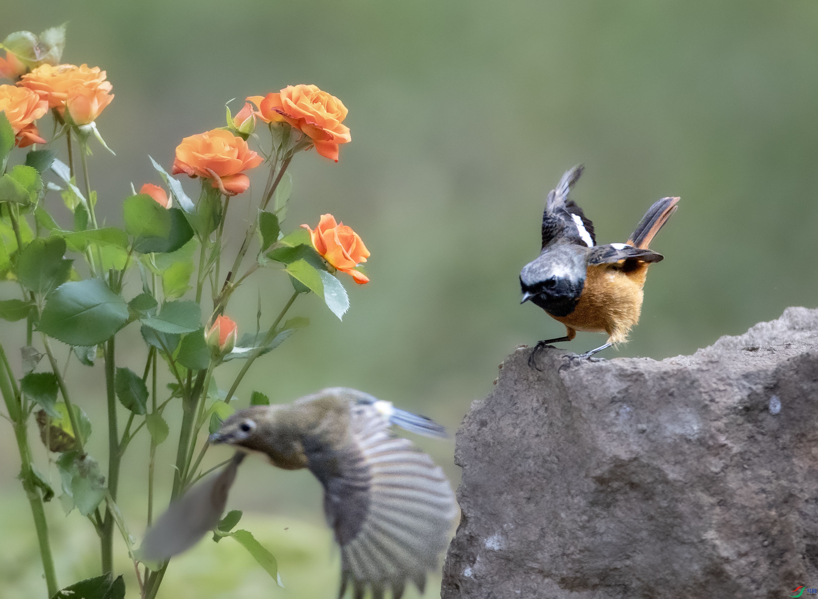 A79I8286 ����.jpg