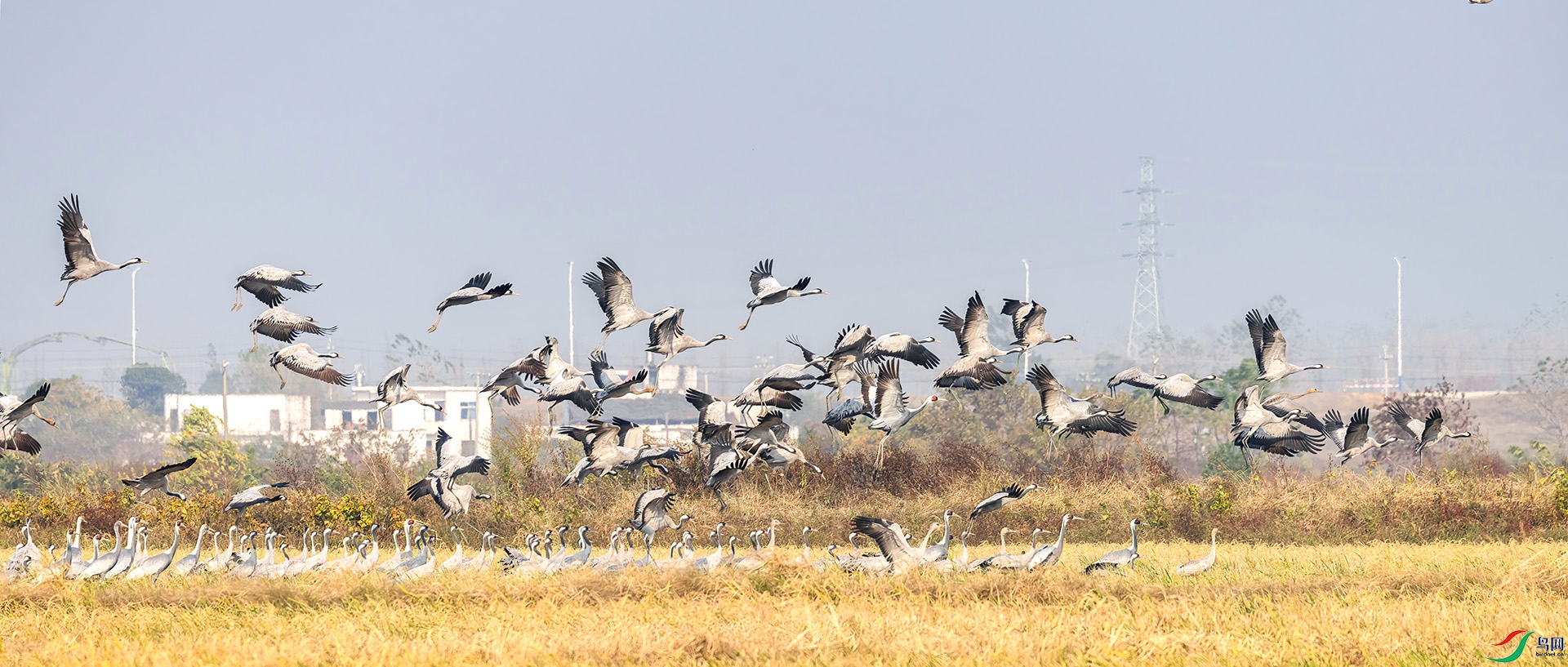 407A2312 ����-Sh---1 .jpg