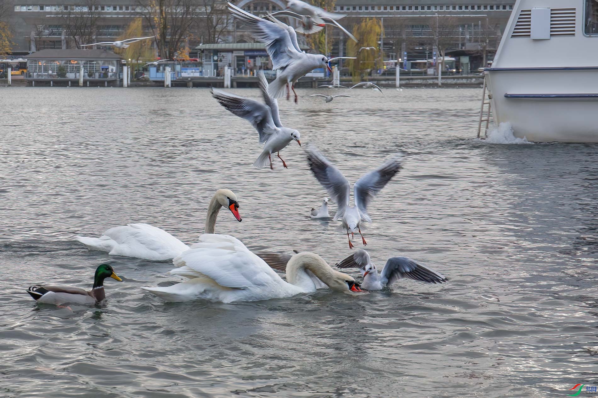 c_12345-1.jpg