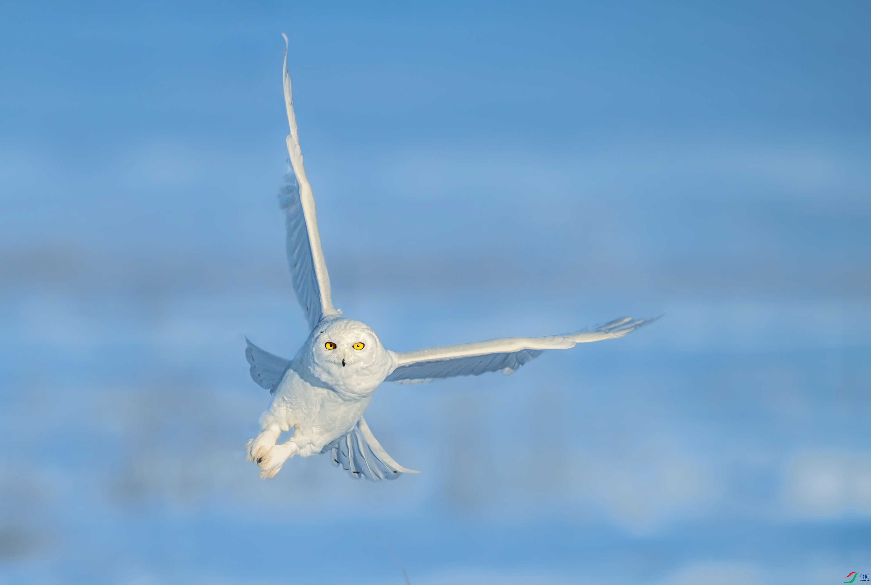 DSC_7828.jpg