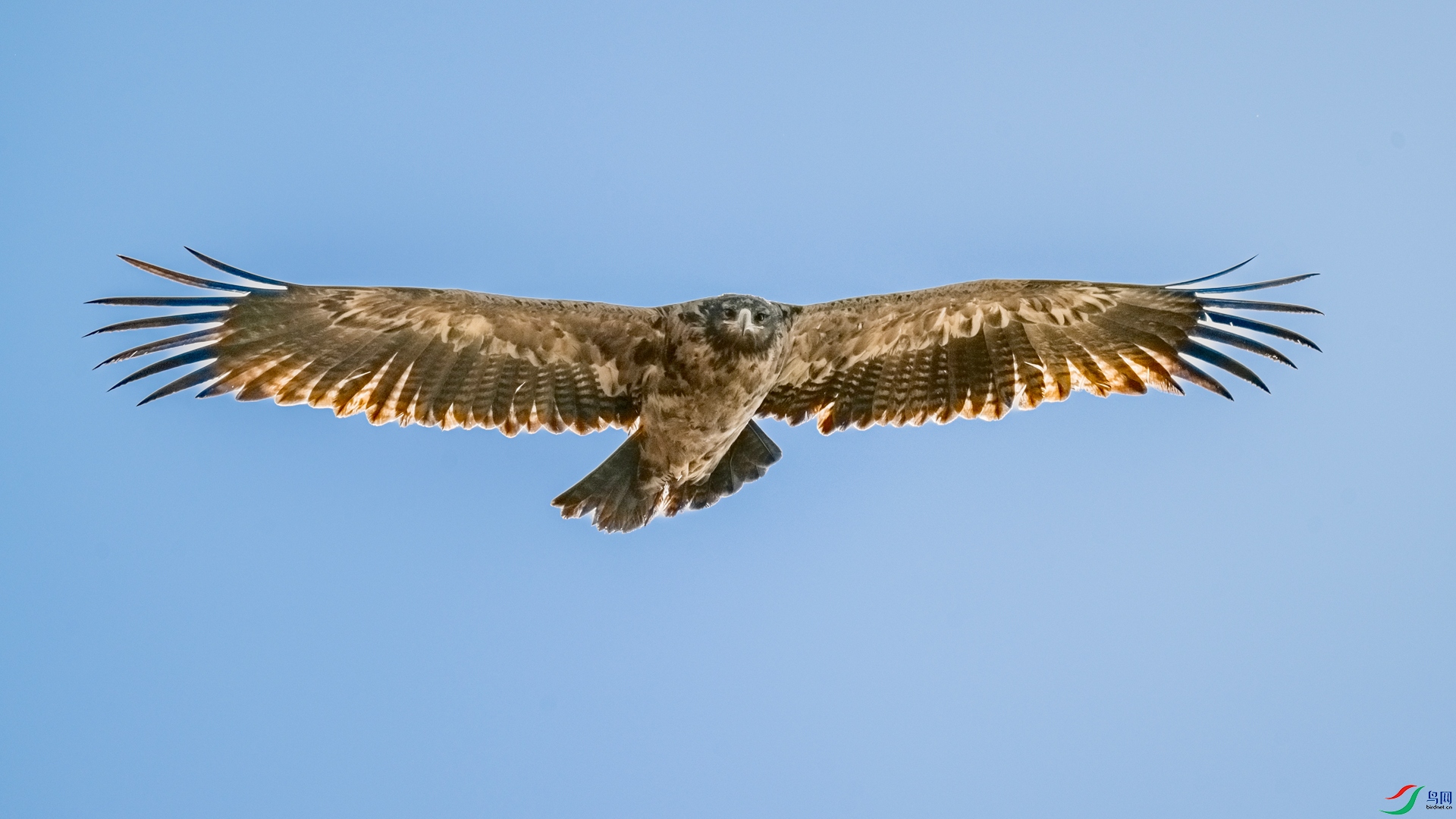 DSC_2668 ����_����.jpg