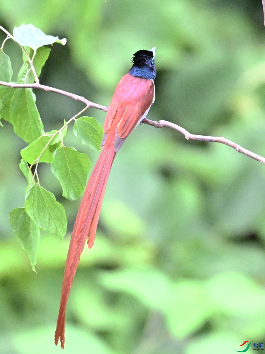 DSC_6972.JPG