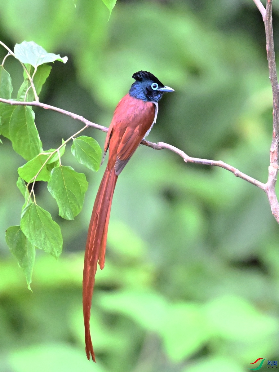 DSC_6991.JPG