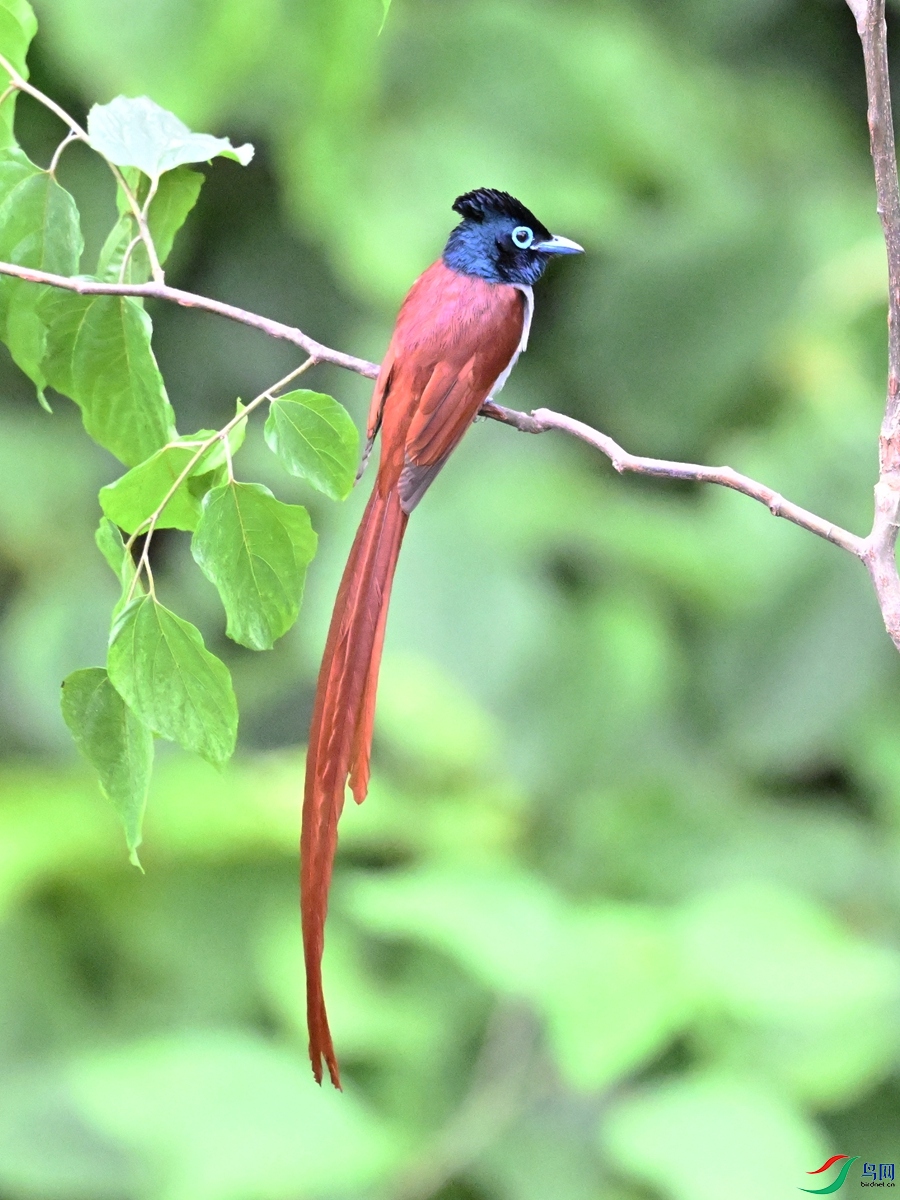 DSC_6993.JPG