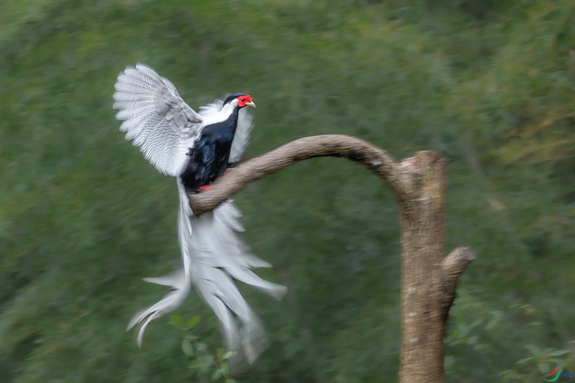 DSC2560.jpg