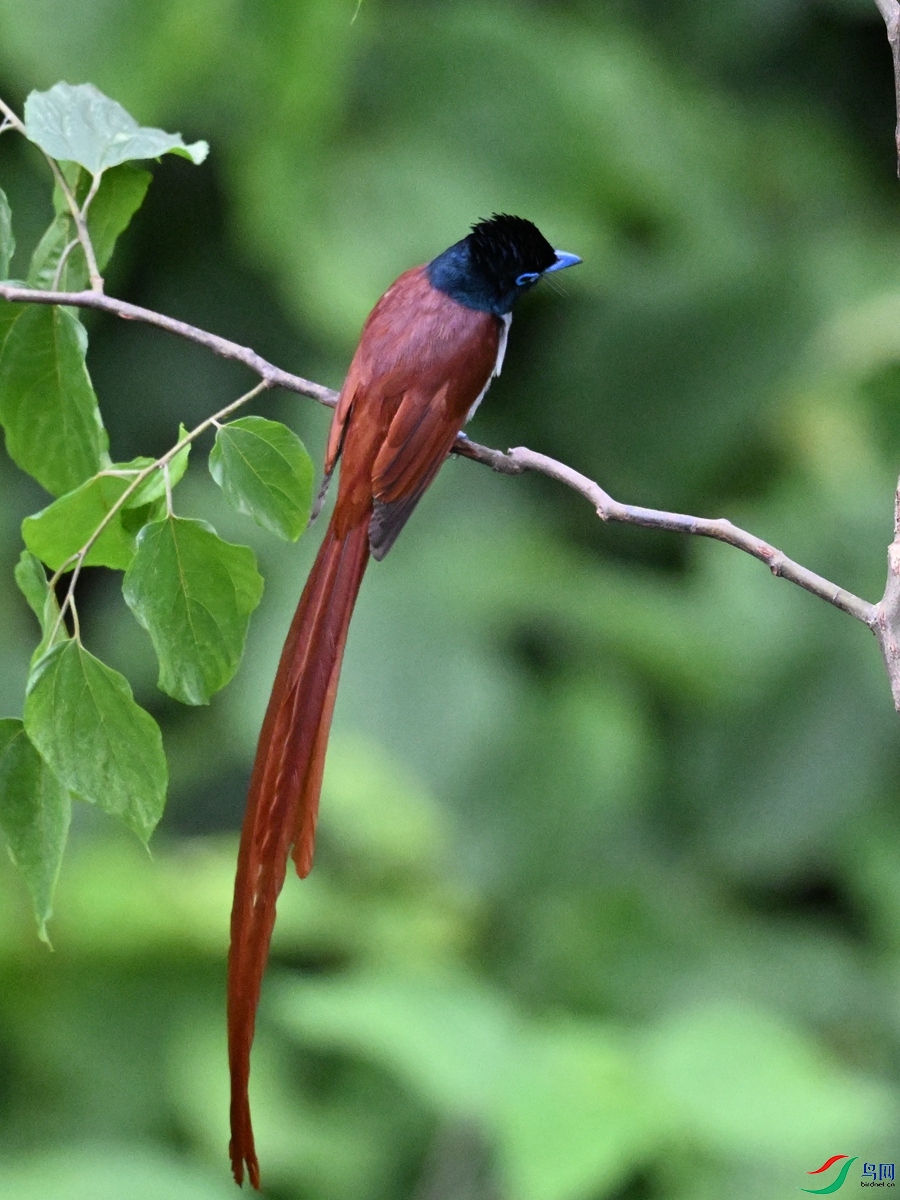DSC_6998.JPG