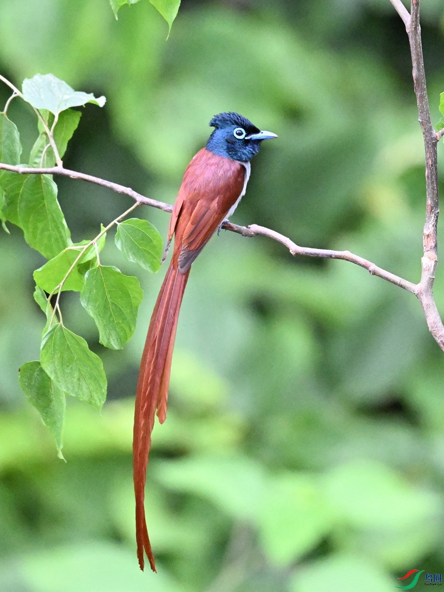 DSC_6986.JPG