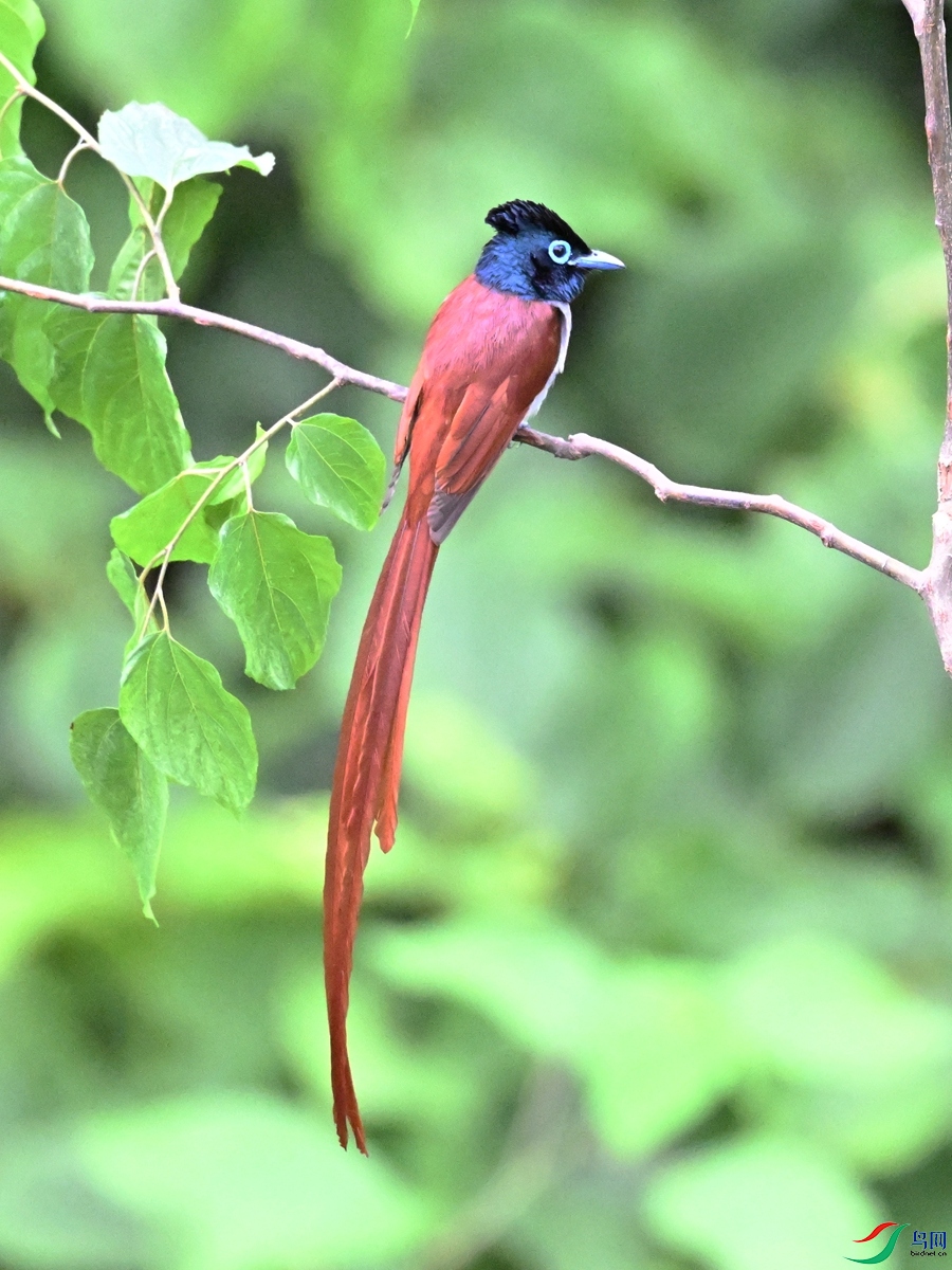 DSC_6992.JPG