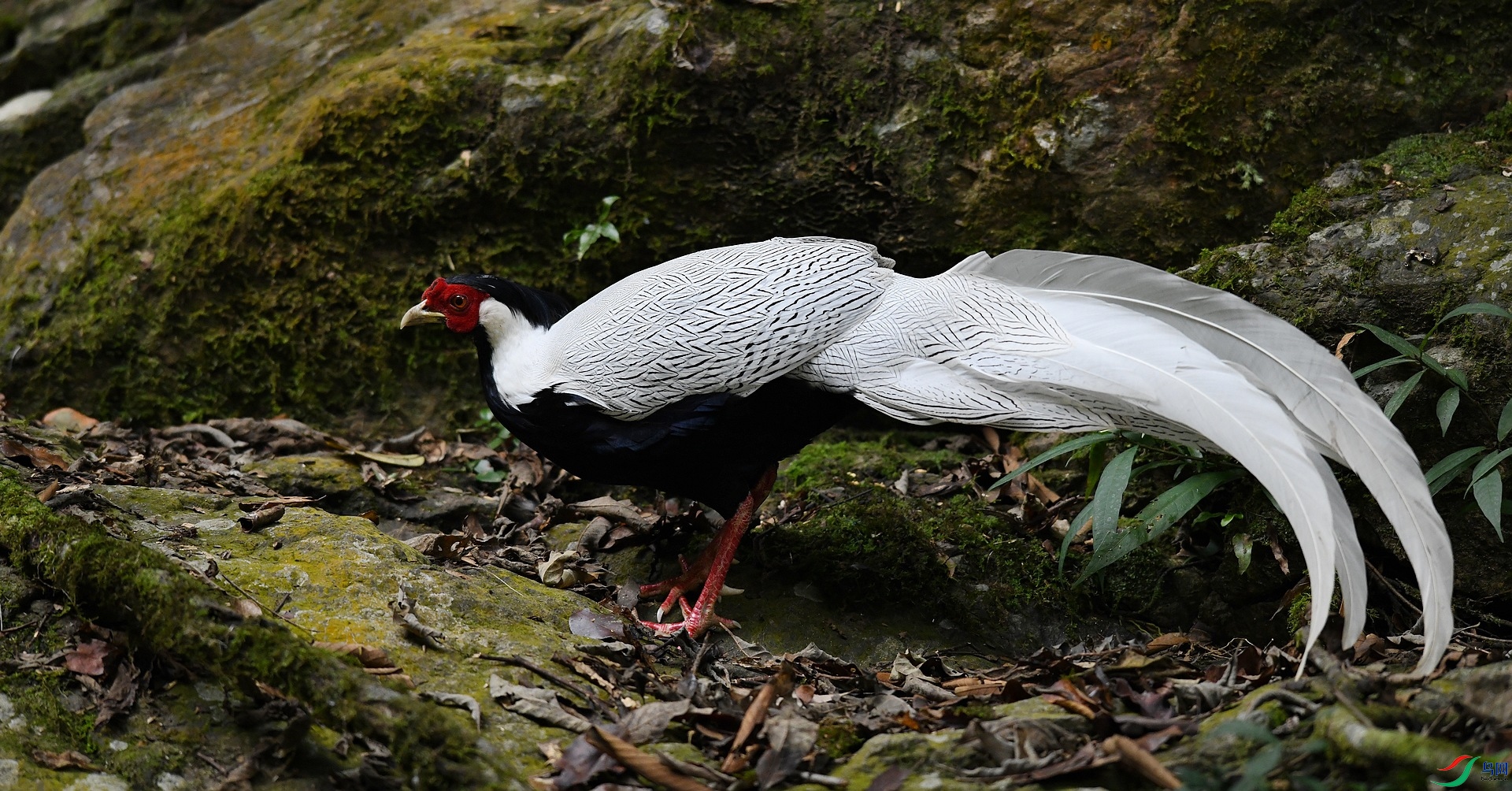 DSC_2739.jpg