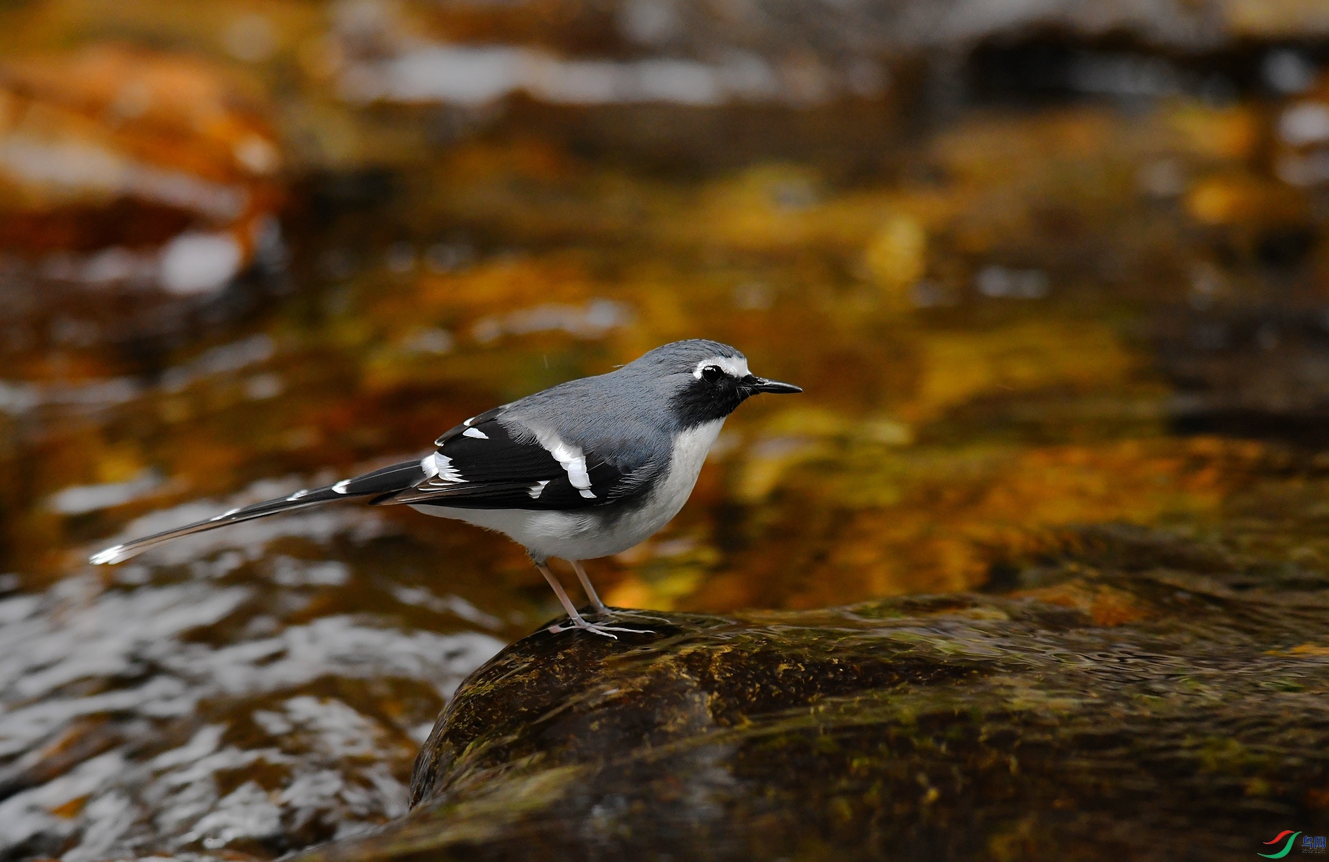 DSC_6410.jpg
