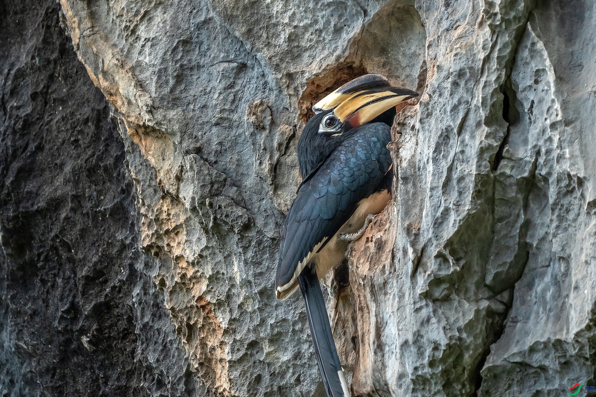 DSC06475 ����.jpg