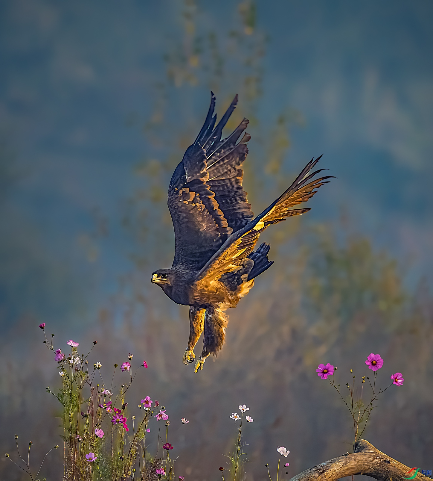 ���ݡ��ʻ�