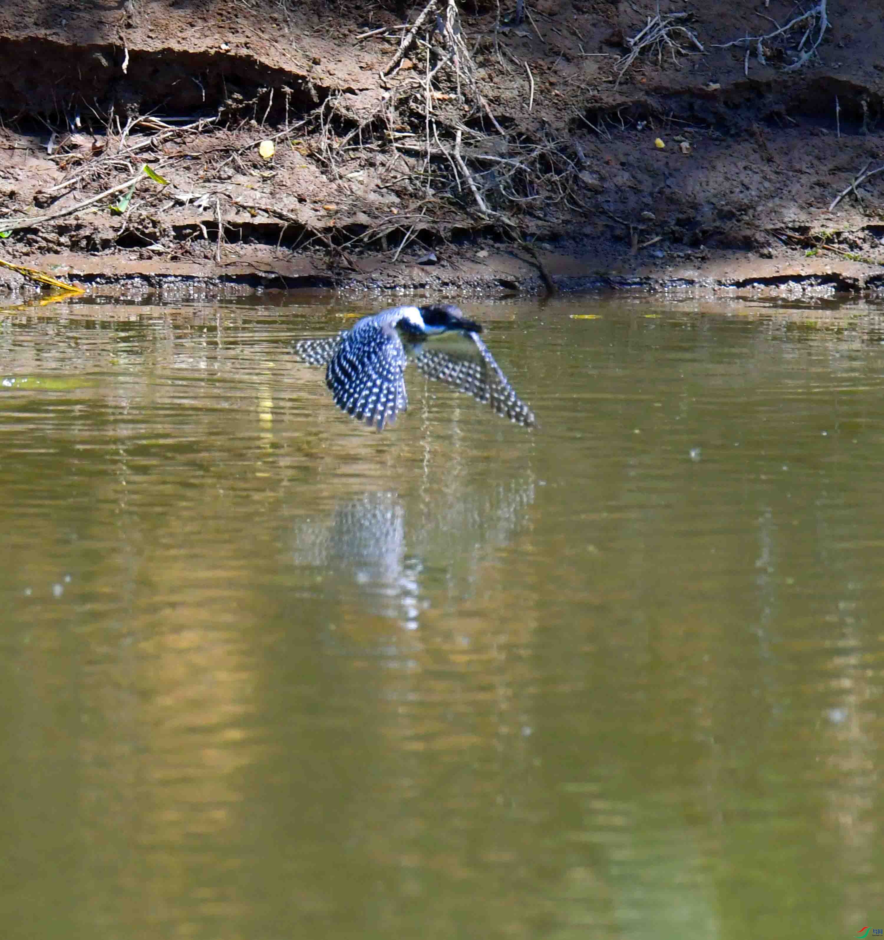 DSC_2751.JPG