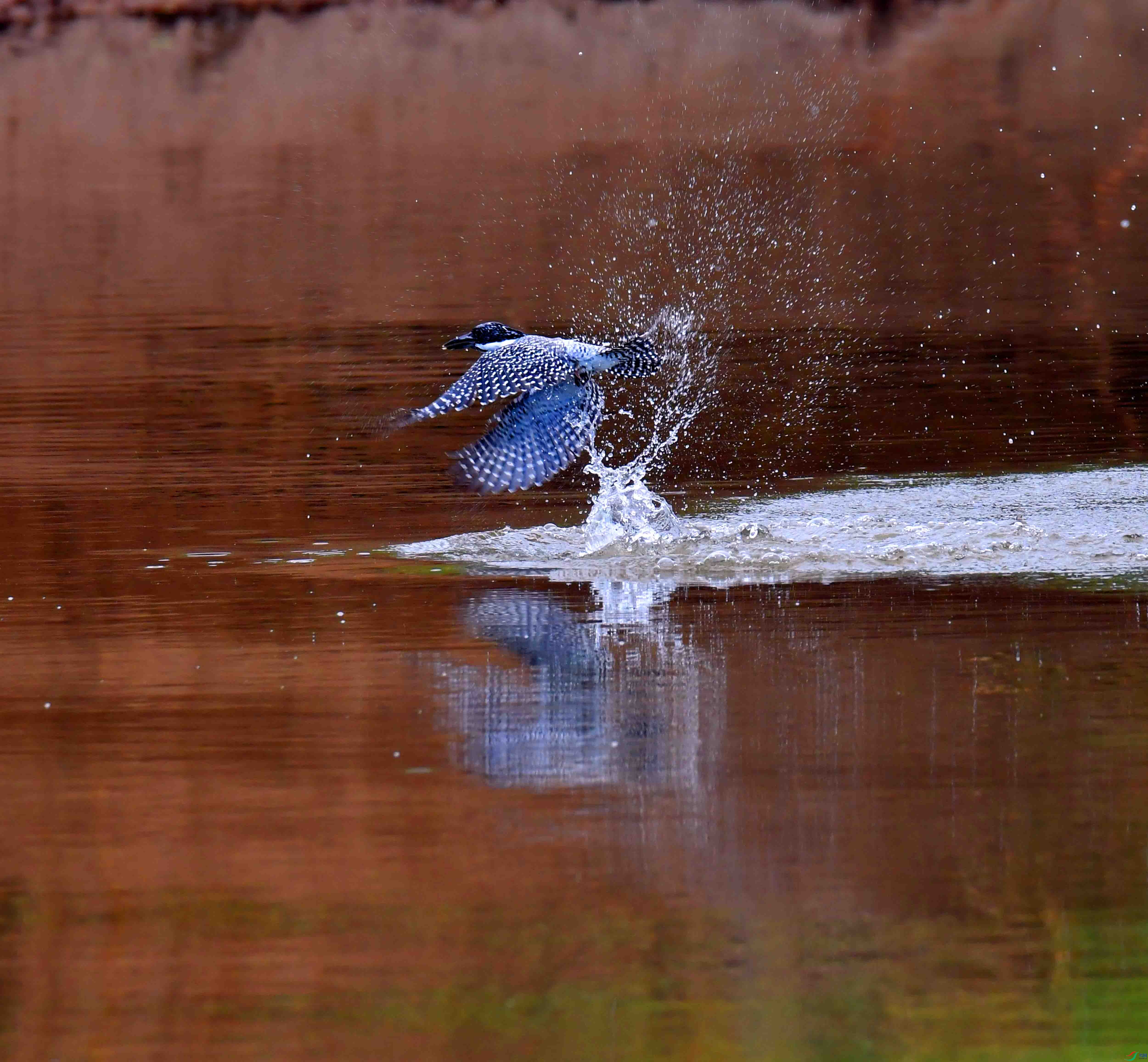 DSC_3861.JPG